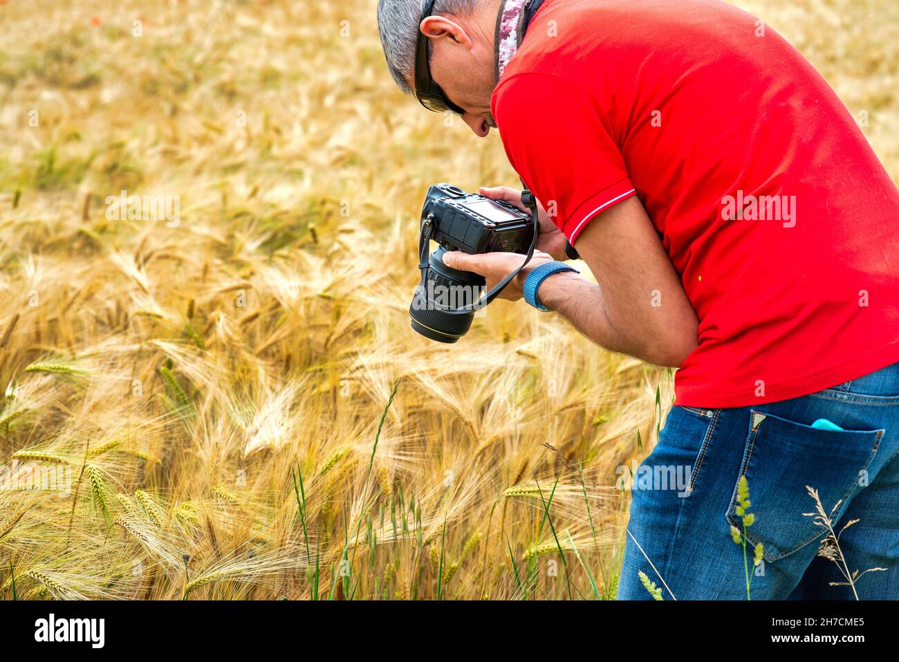 Photographe prenant des photos d'un champ de blé au printemps avec son appareil photo Banque D'Images