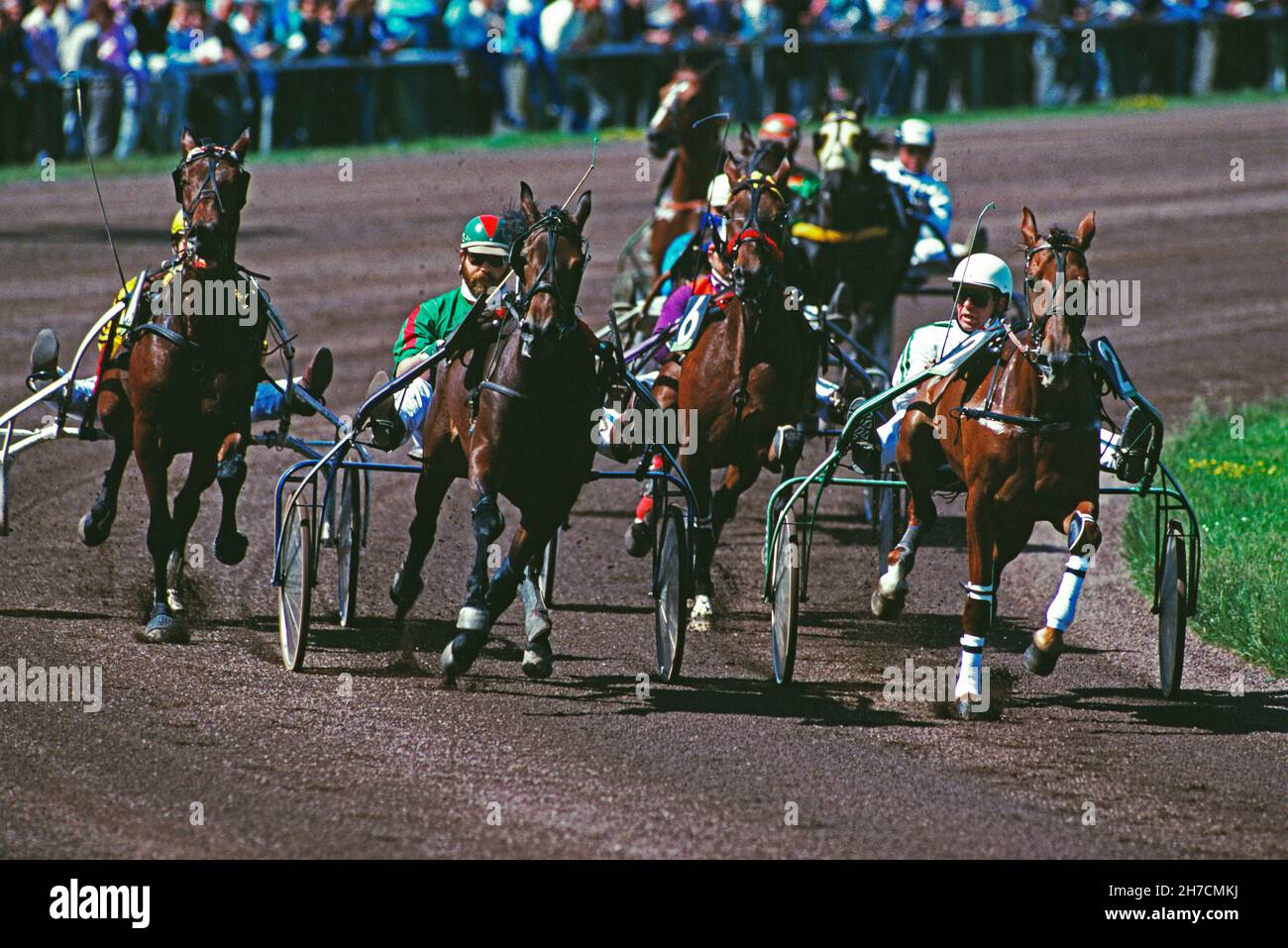 Sport.Courses hippiques.Chemin de câbles. Banque D'Images