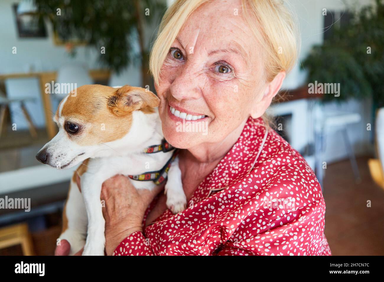 Bonne femme âgée en cuddling avec un petit chien d'animal de compagnie à la maison Banque D'Images