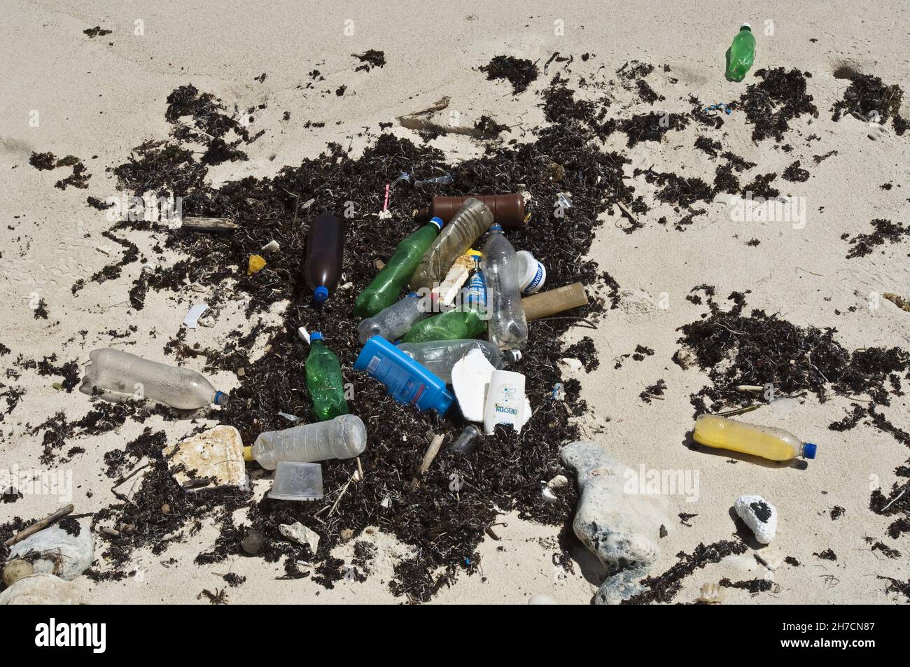 Flotsam avec déchets sur la plage, Antilles néerlandaises, Bonaire Banque D'Images