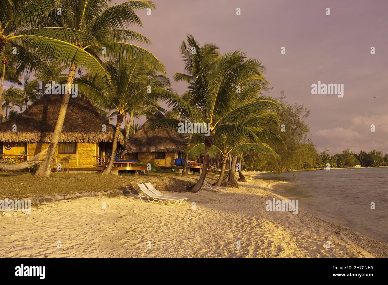 Hôtel huts sur une plage de palmiers, Polynésie française, Rangiroa Banque D'Images