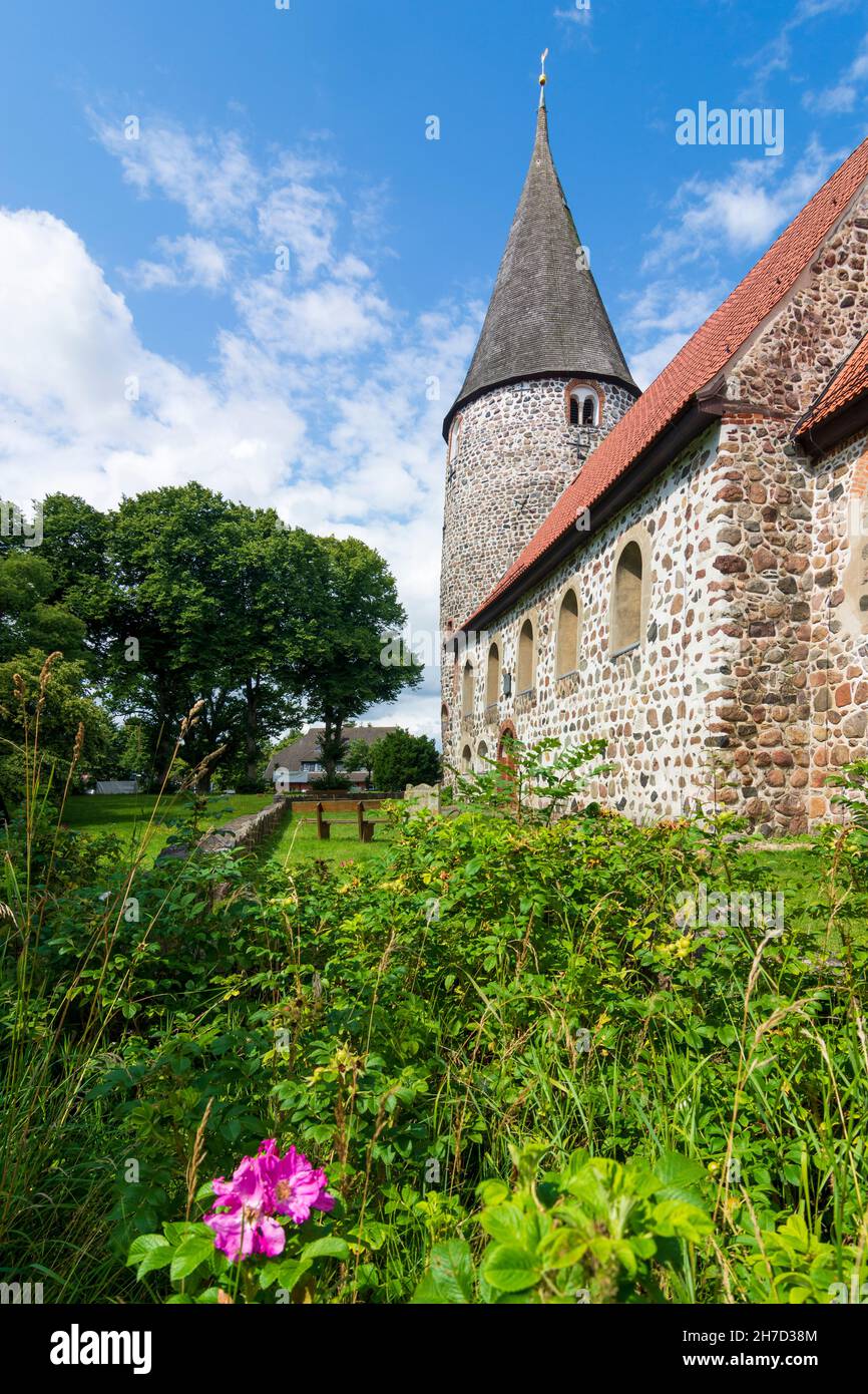 Ratekau : église en pierre de champ de Ratekau à Ostsee (mer Baltique), Schleswig-Holstein, Allemagne Banque D'Images