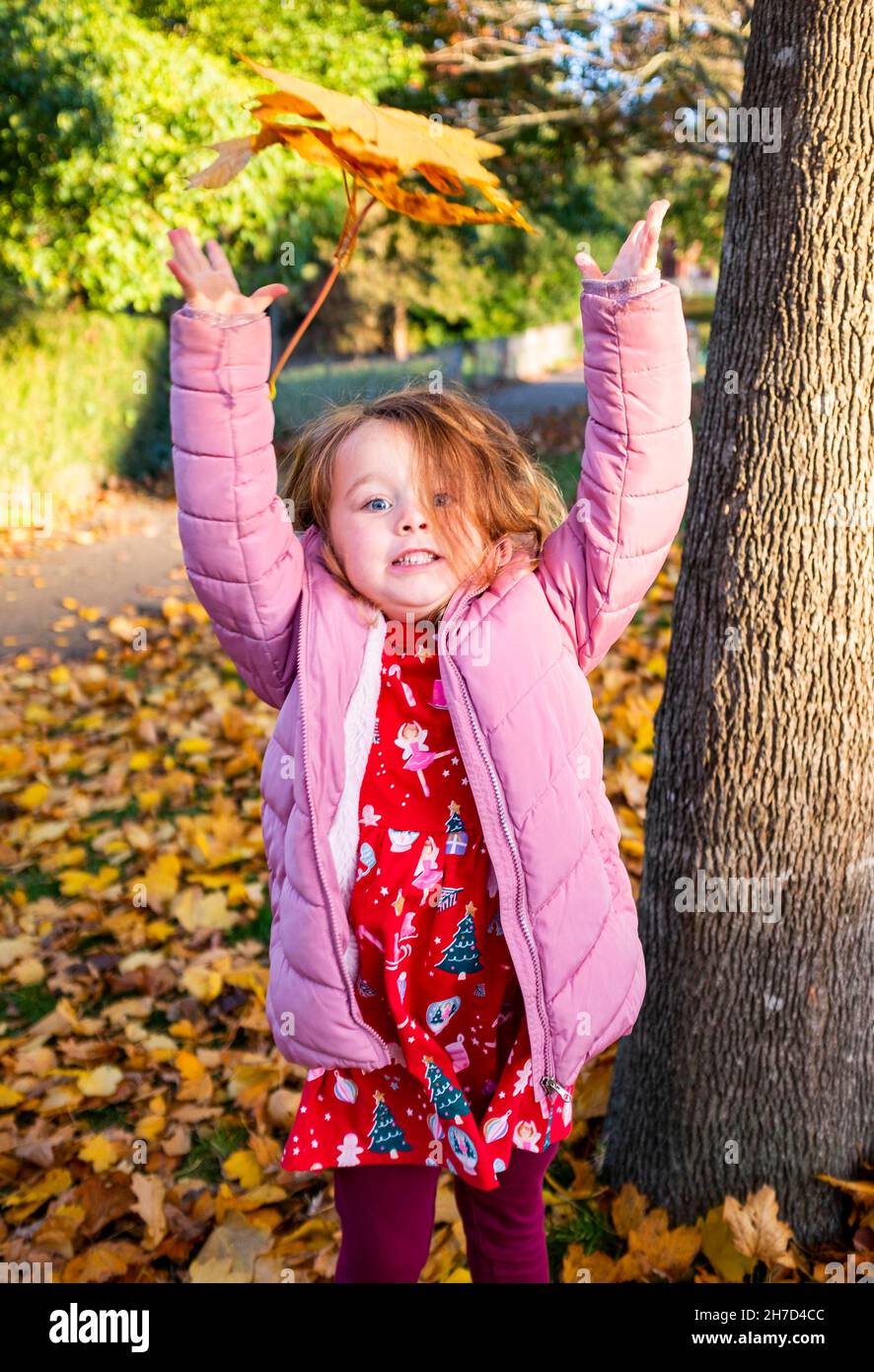 Jeune fille de 5 ans jouant parmi les feuilles d'automne dans un parc Angleterre Royaume-Uni Banque D'Images