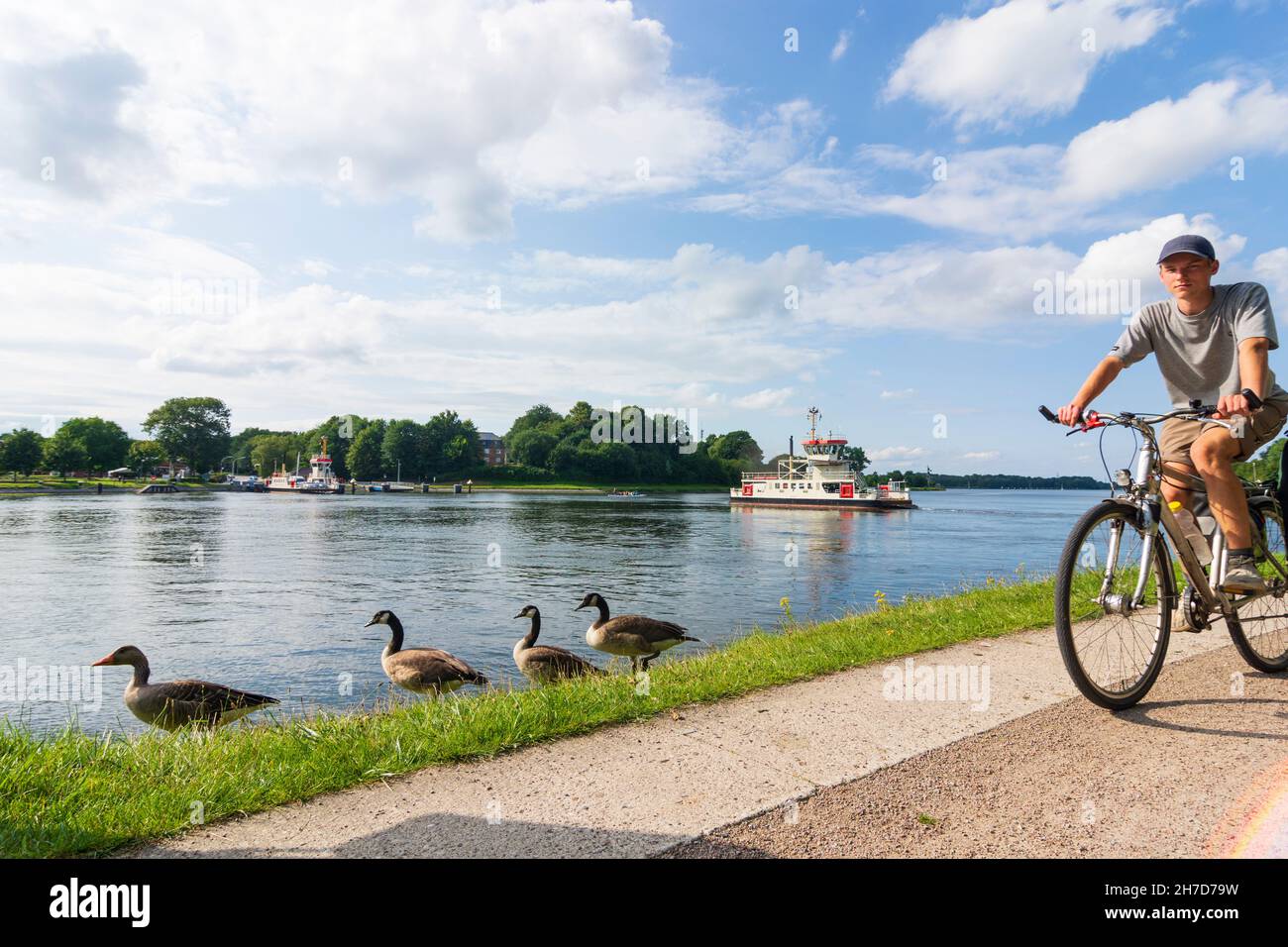 Rendsburg : traversier à Nobiskrug sur Nord-Ostsee-Kanal (canal de Kiel), bernaches du Canada (Branta canadensis), cycliste sur la piste cyclable Nord-Ostsee-Kanal à Binnenl Banque D'Images