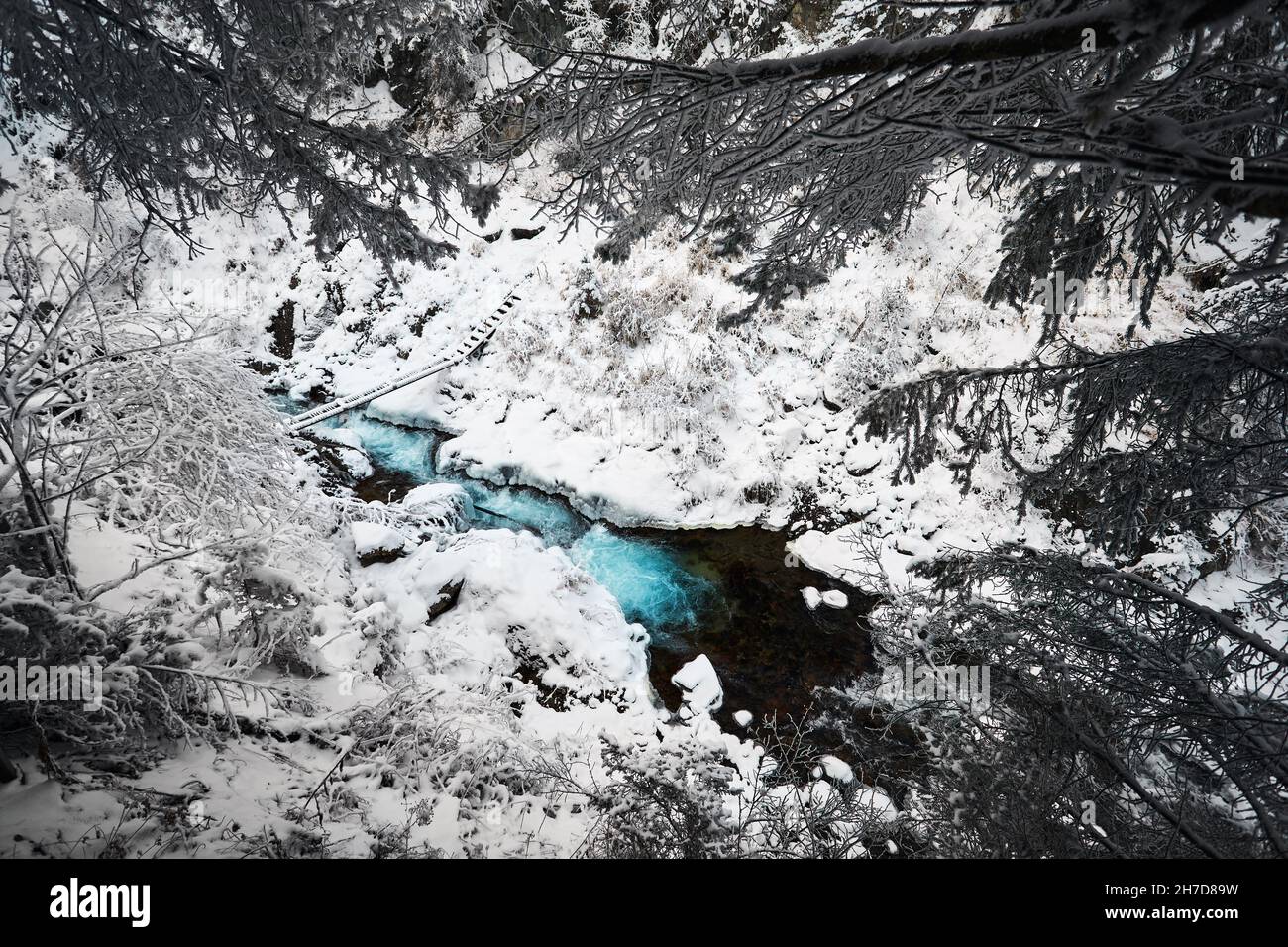 Magnifique paysage de rivière bleu et forêt d'arbres d'épinette dans les montagnes avec de la neige en hiver Banque D'Images