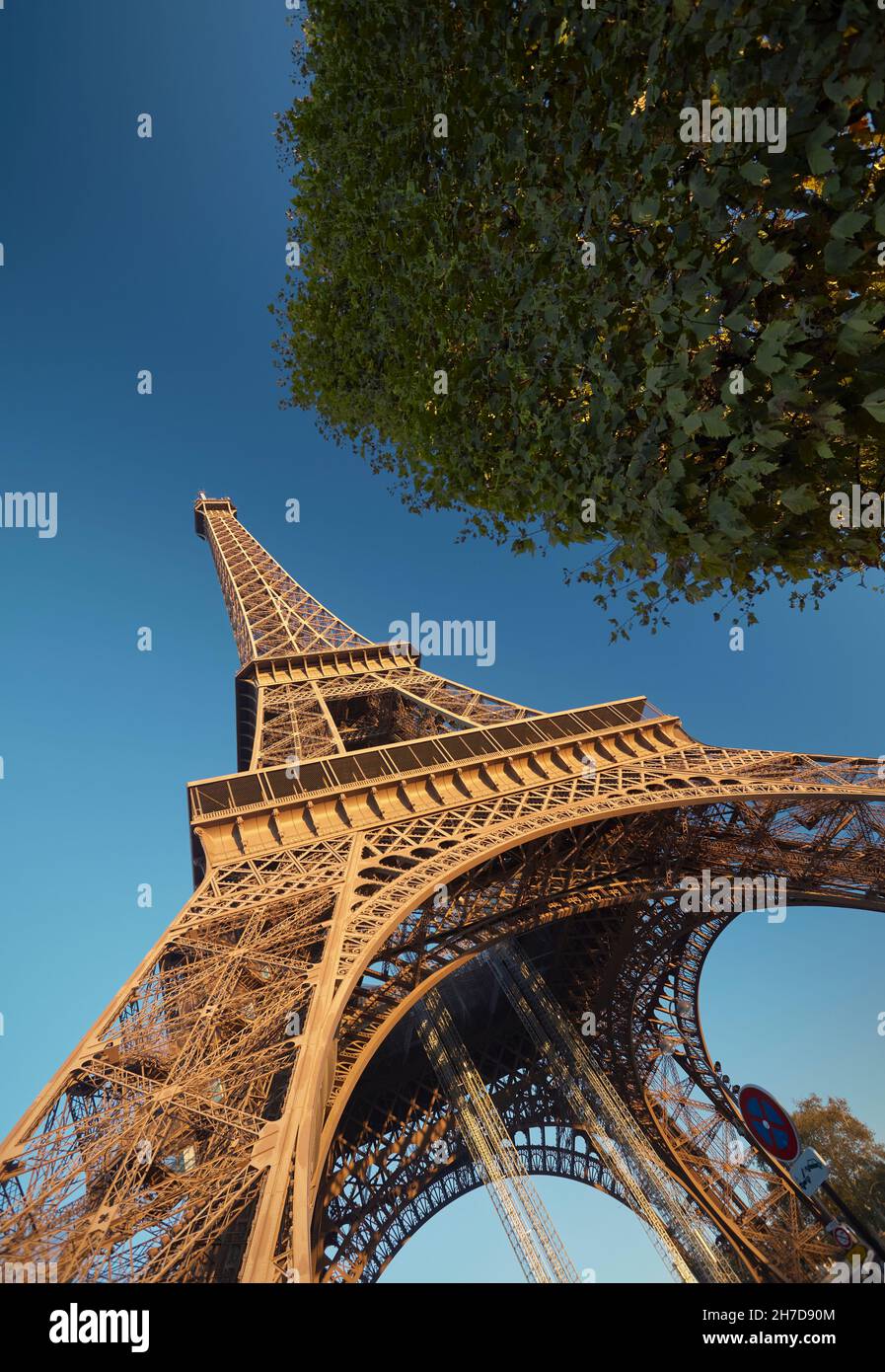 La tour Eiffel, Paris Banque D'Images
