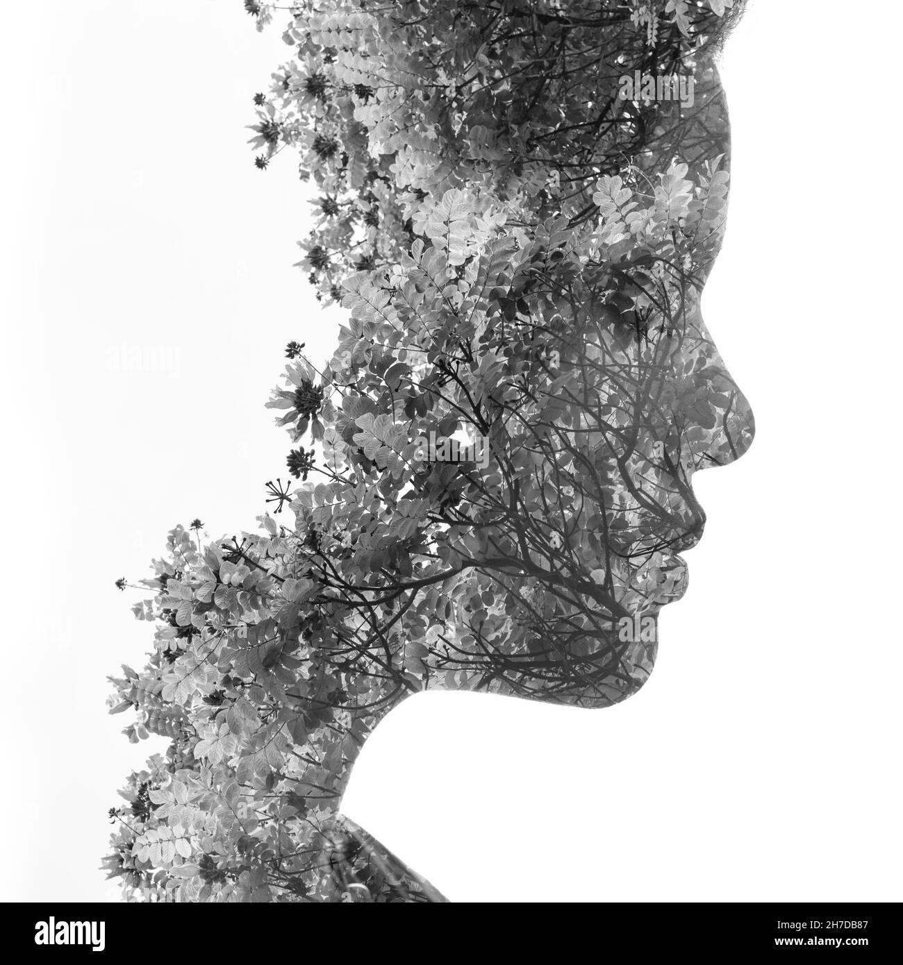 Portrait Femme Noir Et Blanc Dessin Un portrait de profil noir et blanc d'une femme combiné avec des brindilles  de fleurs sauvages dans une technique de double exposition Photo Stock -  Alamy