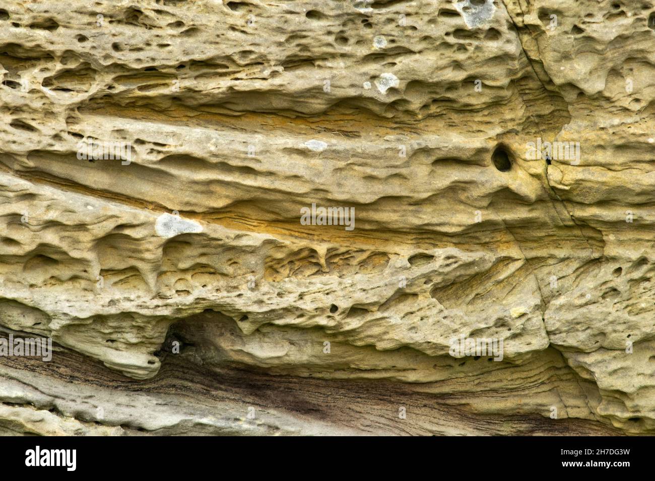 Couches de grès sédimentaires posées dans la période Jurassique dans un environnement marin peu profond. Banque D'Images