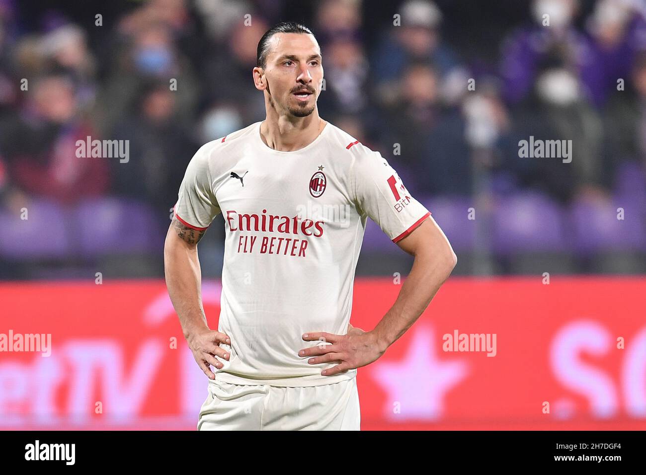 Florence, Italie.20 novembre 2021.Zlatan Ibrahimovic (Milan) pendant l'ACF Fiorentina vs AC Milan, football italien série A match à Florence, Italie, novembre 20 2021 crédit: Independent photo Agency/Alamy Live News Banque D'Images