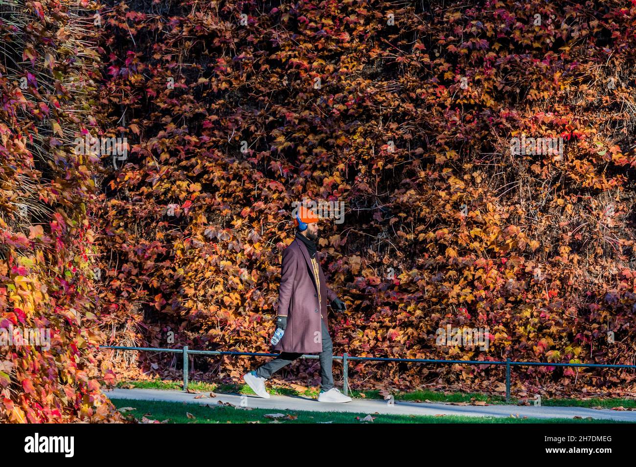 Londres, Royaume-Uni.22 novembre 2021.Les touristes, les marcheurs, les joggeurs et les cucistes passent devant les feuilles d'automne qui brillent rouge, orange et jaune sur la Citadelle de l'Amirauté sur les gardes à cheval.Crédit : Guy Bell/Alay Live News Banque D'Images