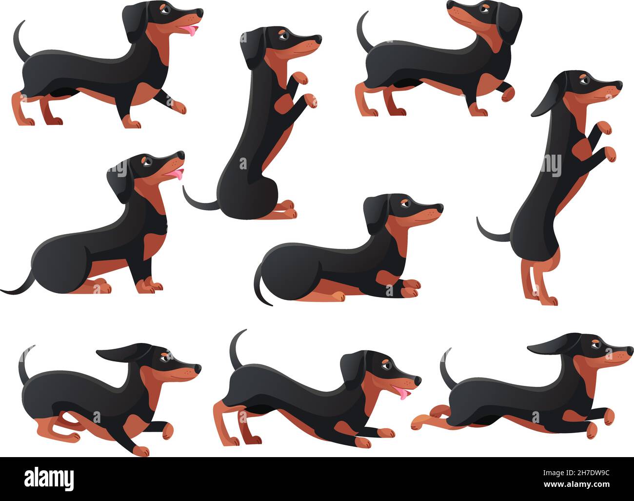 Pose de Daushund.Dessin animé dachsand chiens personnages pose, race pedigree daushunds, chien de chien pose, saut et courir la saucisse longue, icône plate décent ensemble illustration de vecteur.Dessin animé de Dachshund Illustration de Vecteur