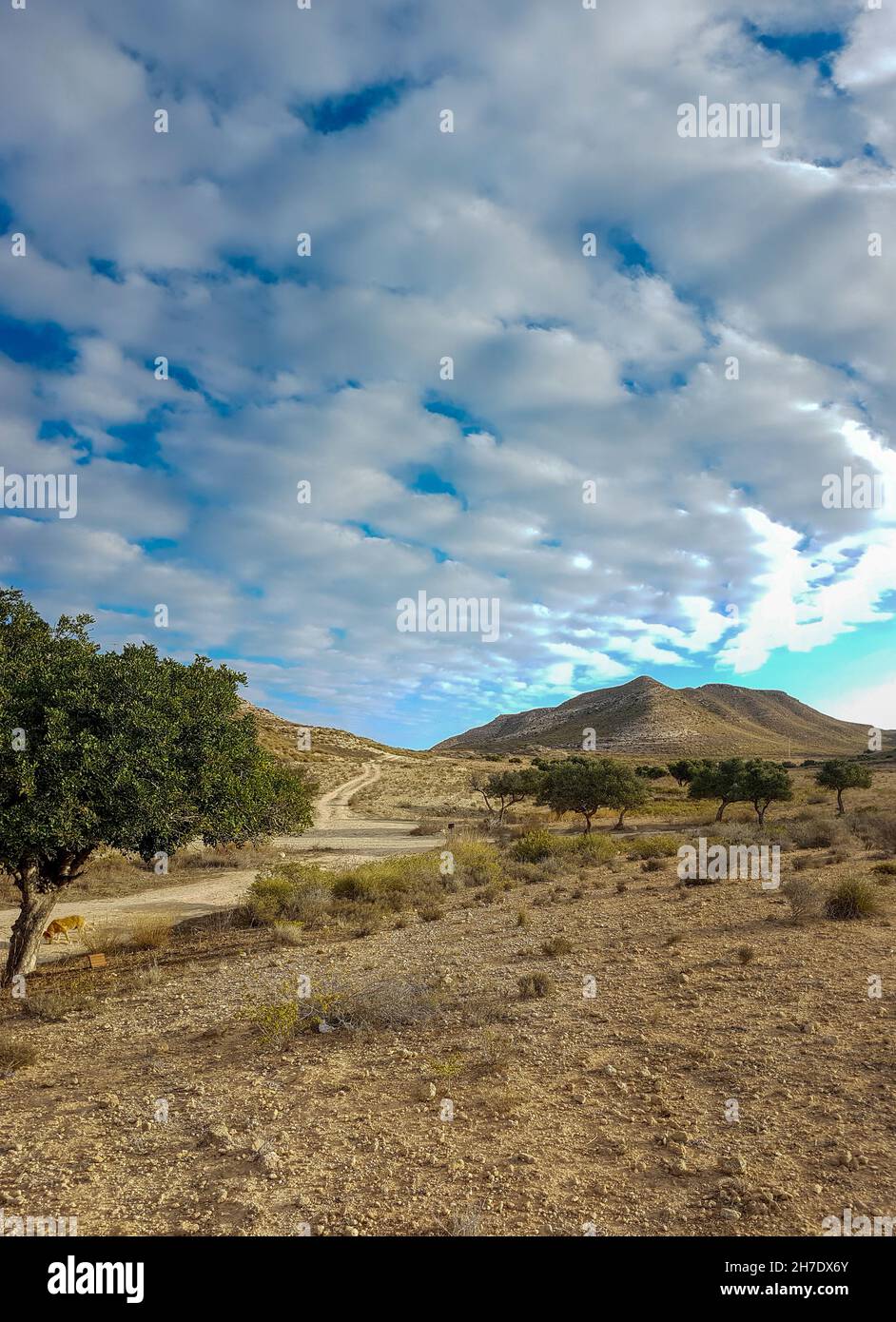 Paysage sec dans le parc naturel de Cabo de Gata Níjar, dans le sud de l'Espagne, au bord de la mer Méditerranée Banque D'Images