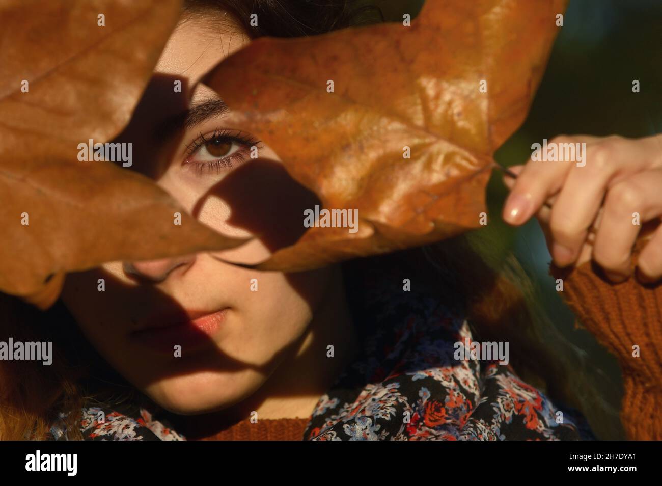 Feuilles d'automne conceptuelles et portrait en Sunny Day à Park Banque D'Images
