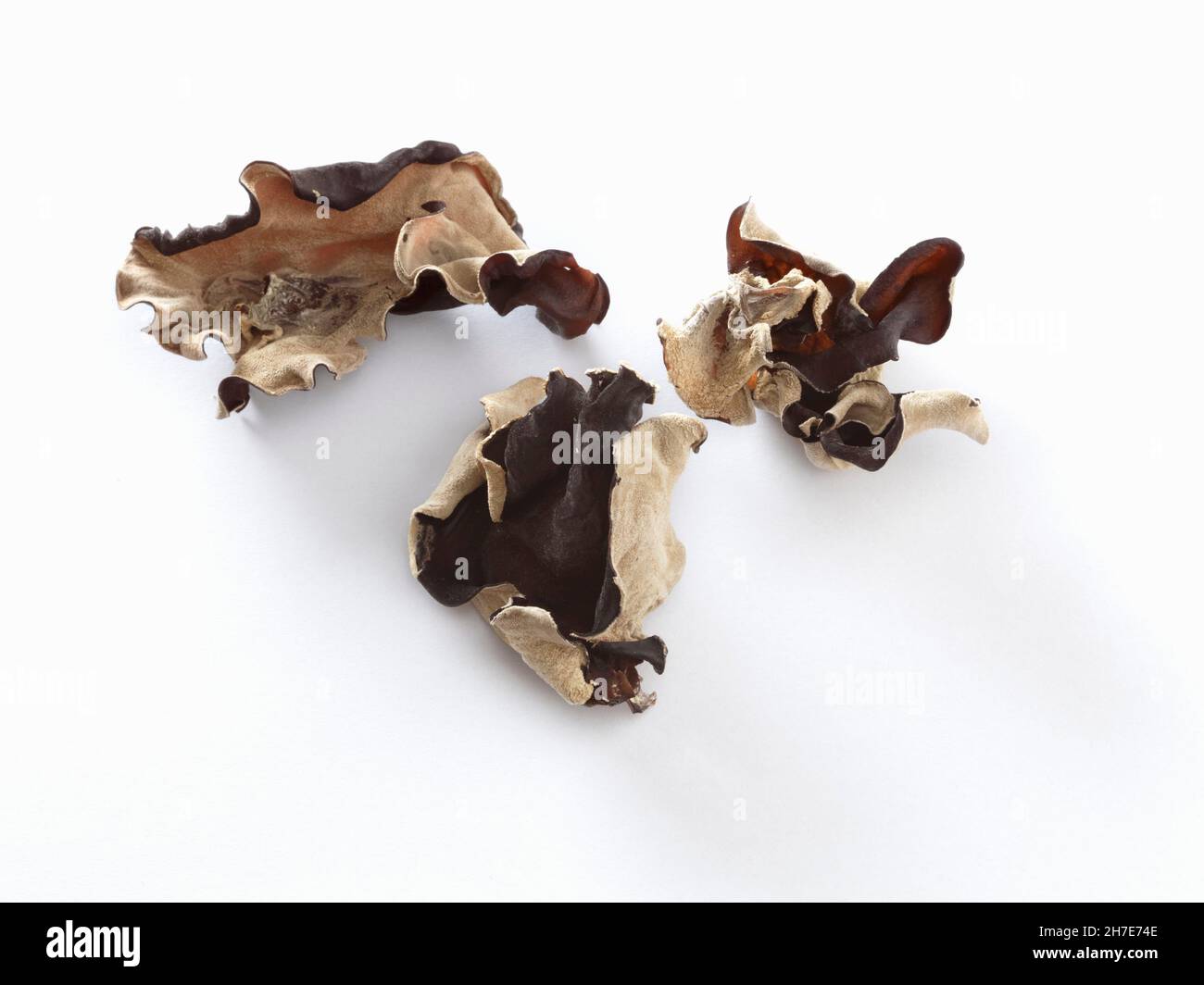 Jelly séché champignon d'oreille Banque D'Images