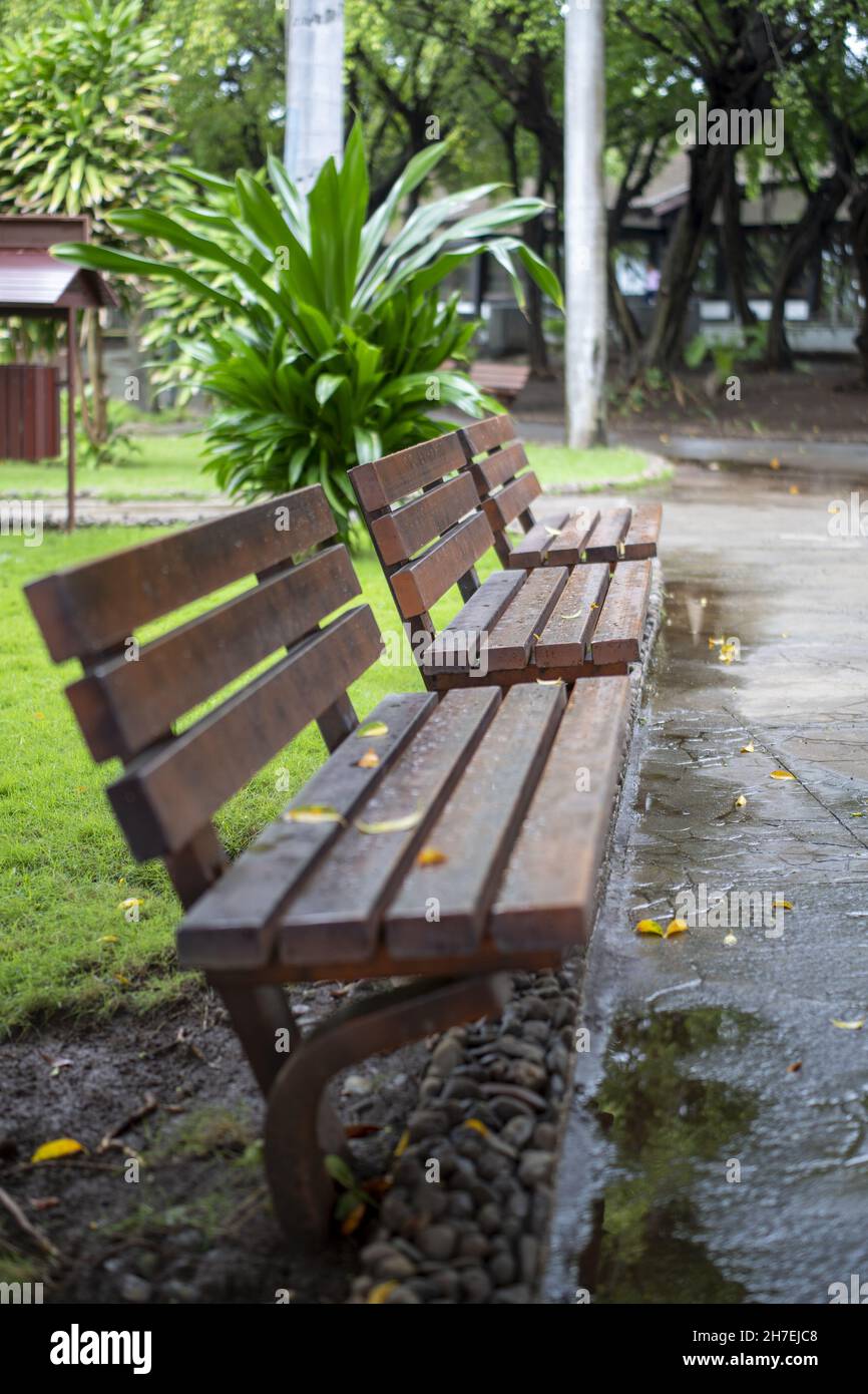 Plan vertical de bancs en bois dans un parc sur un fond flou Banque D'Images
