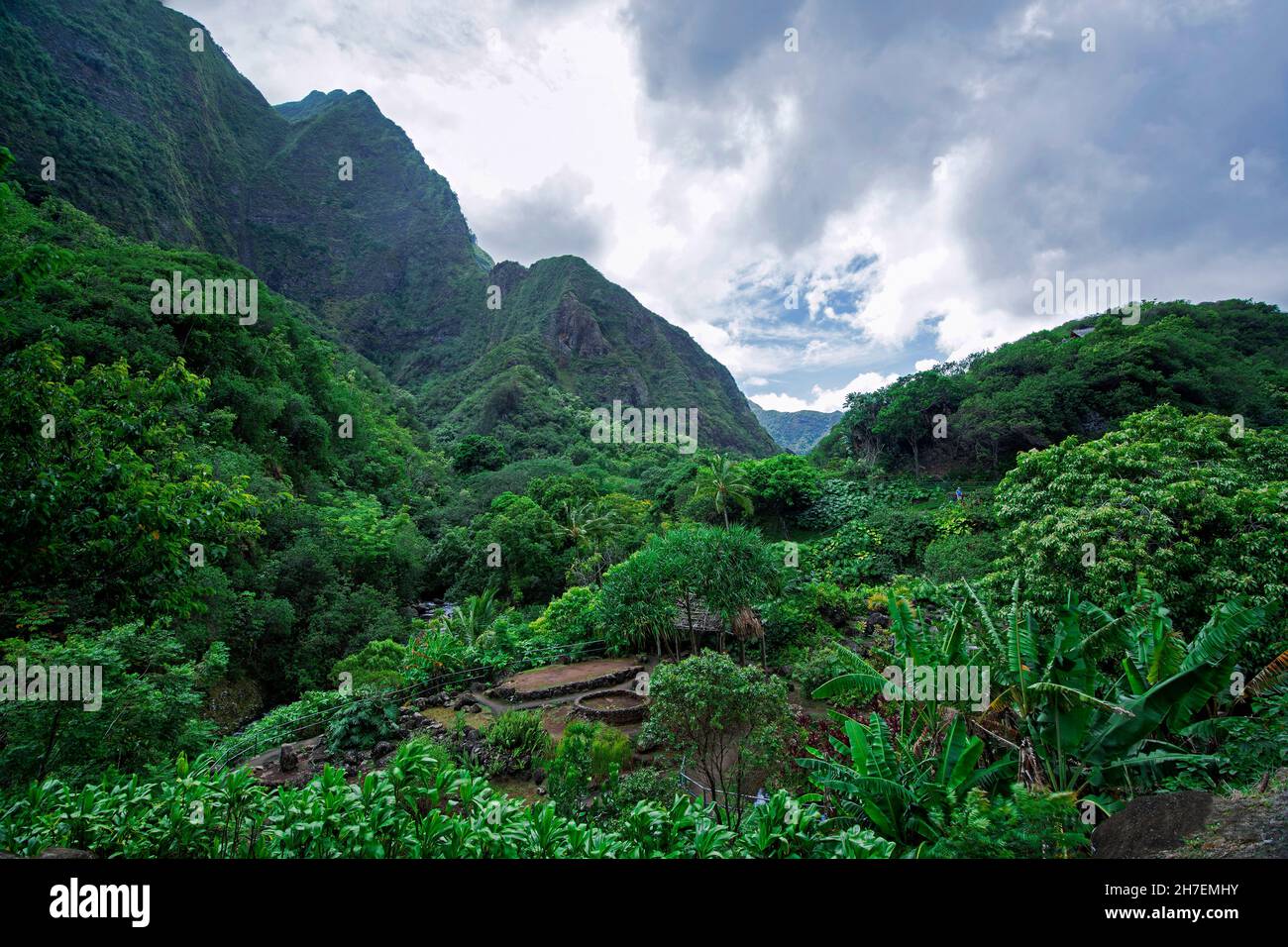 Parc national de IAO Valley, Iao Valley, West Maui, Hawaii Banque D'Images