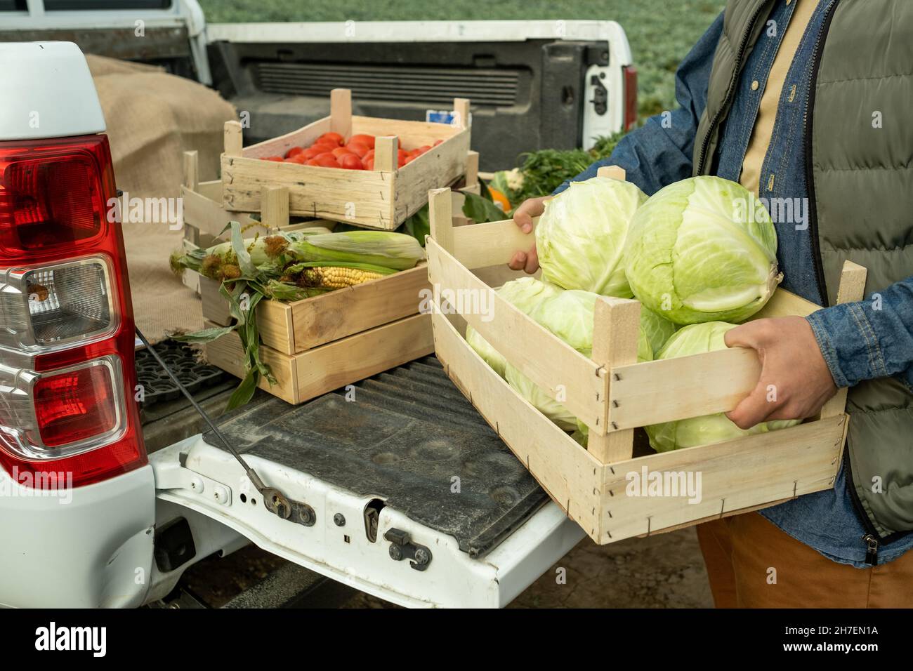 Gros plan d'un ouvrier agricole méconnaissable qui a placé une boîte de choux dans la cabine du ramasseur après la récolte Banque D'Images