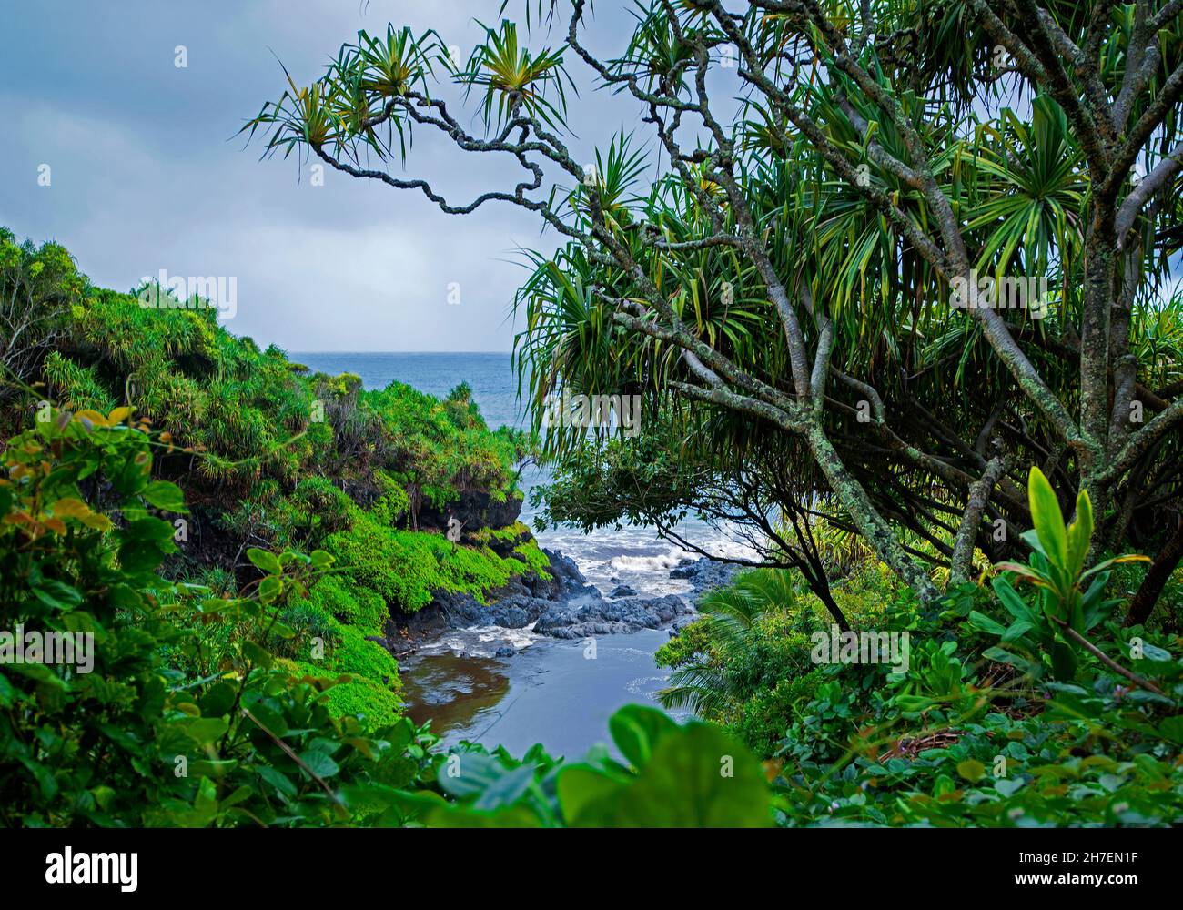 Palikea Stream traversant des roches volcaniques dans l'océan, parc national de Haleakala, Maui, Hawaii Banque D'Images