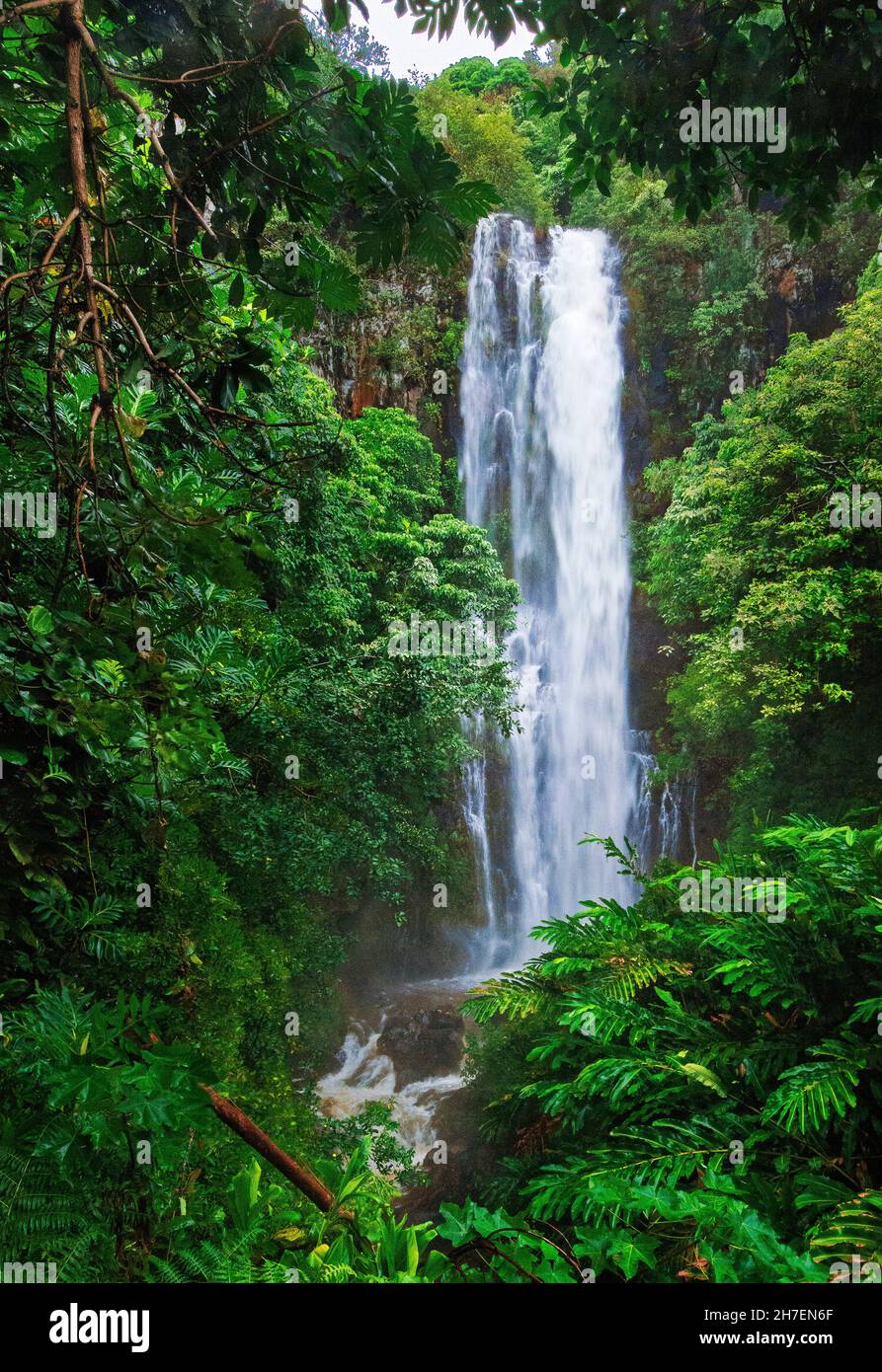 Pittoresque Wailua Falls, Hana Highway, Hana Coast, Maui, Hawaï Banque D'Images