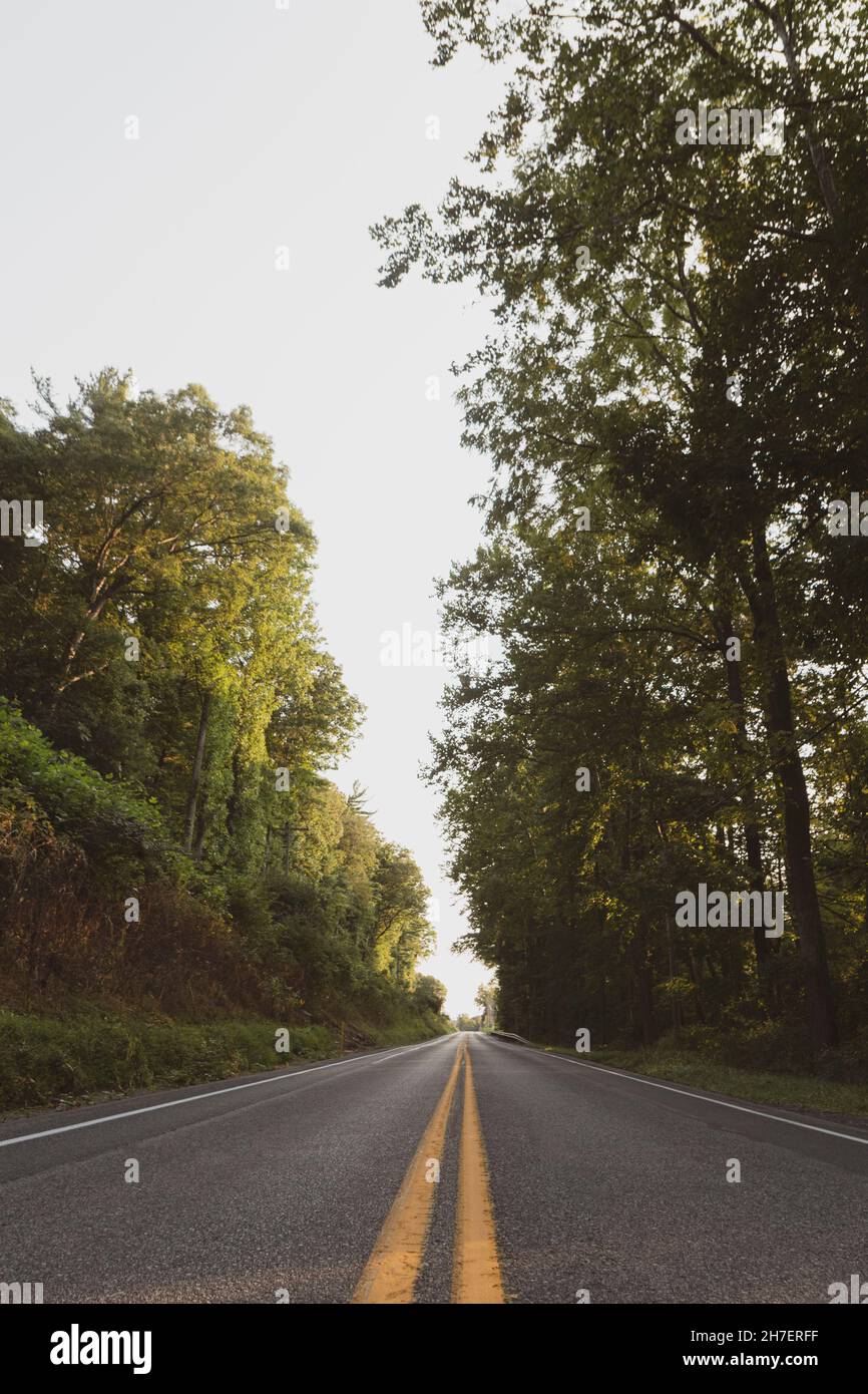 Route à deux voies qui avance à travers des bois inconnus Banque D'Images