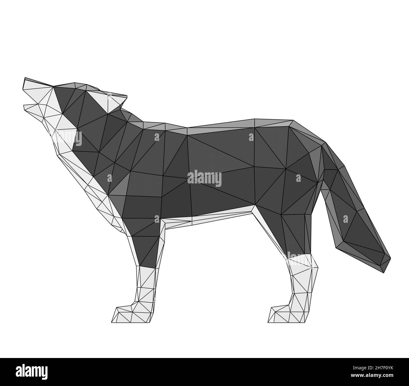 image filaire bas poly hurling loup, rendu 3d Banque D'Images