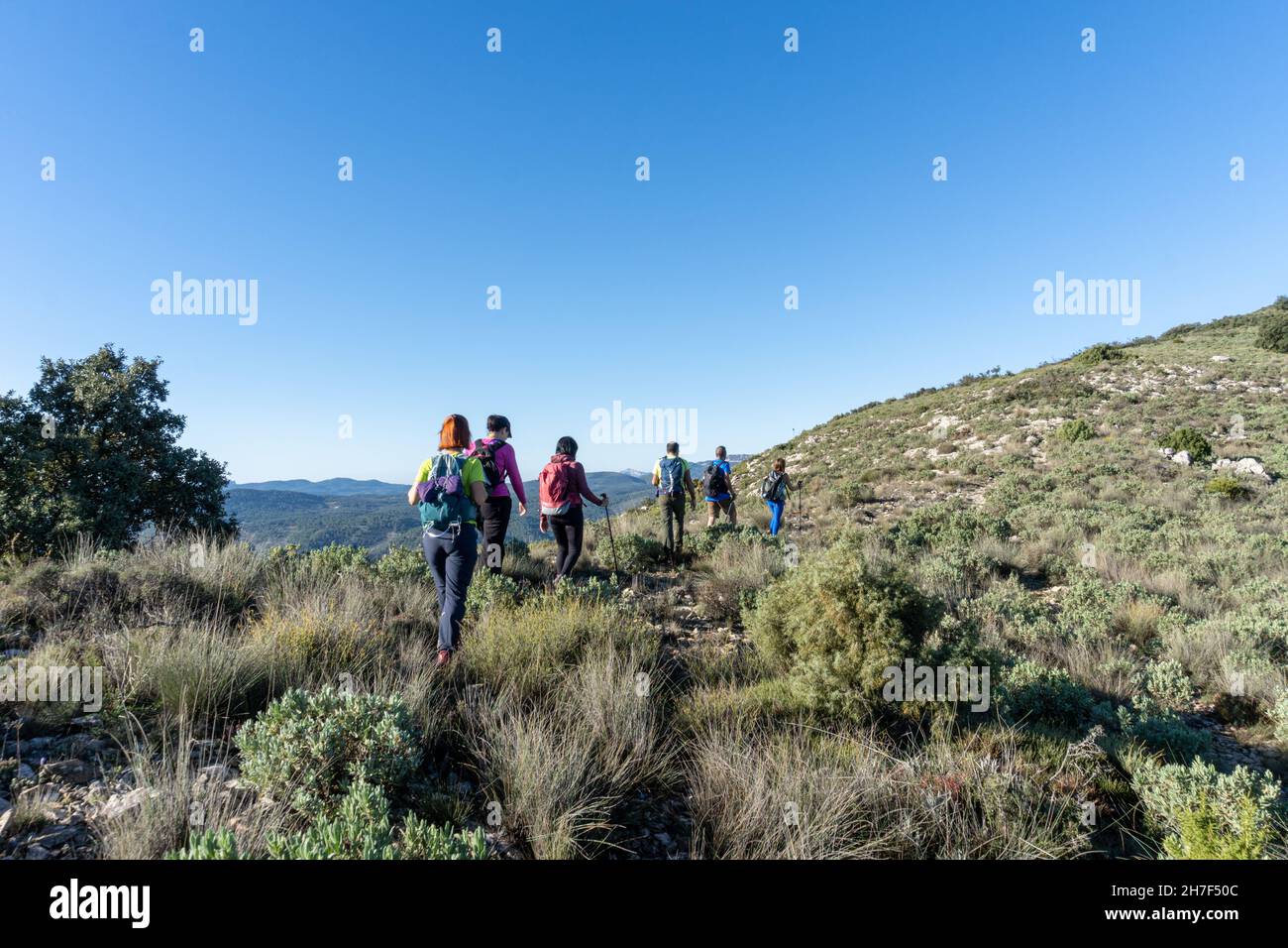 Randonneurs randonnée sur les montagnes vertes rocheuses sous le ciel bleu Banque D'Images