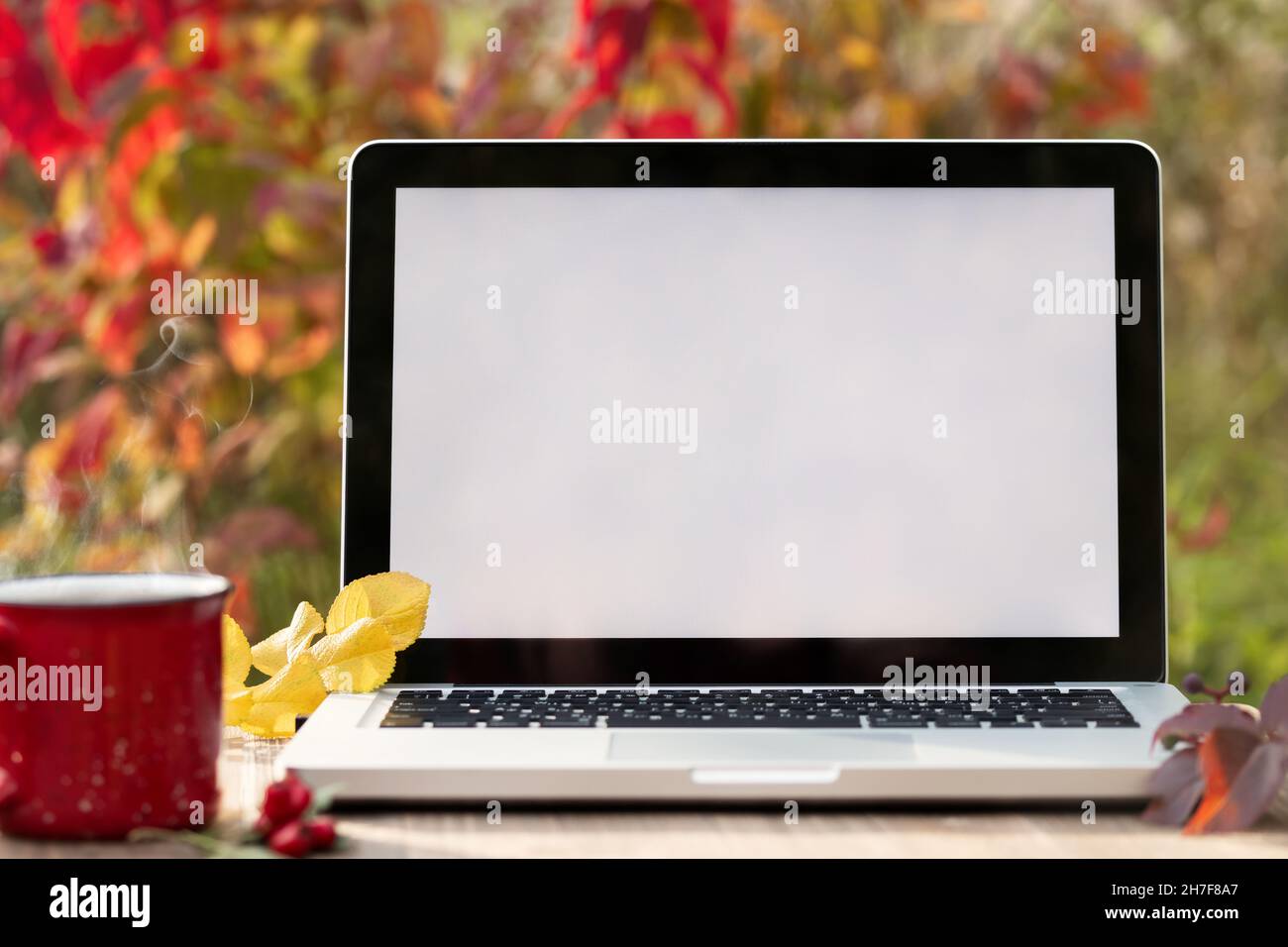 Ordinateur portable avec écran vierge sur une table dans le jardin d'automne.Modèle pour les publicités, la conception, la publicité. Banque D'Images