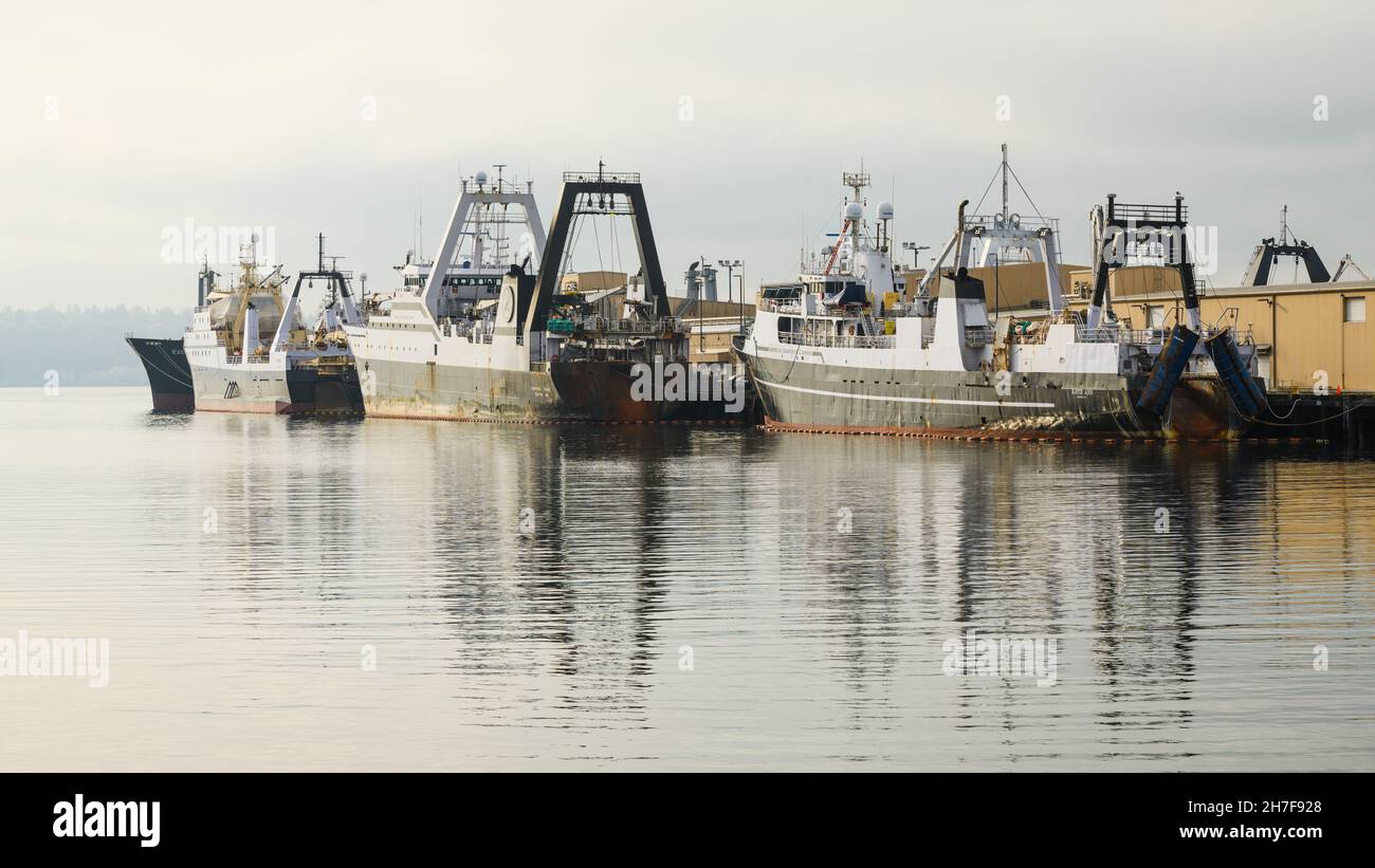 Seattle - 21 novembre 2021; bateaux de pêche arriés au quai 90 de Seattle.Ces navires font partie de la flotte où les poissons pêchant dans les eaux du Pacifique Nord Banque D'Images