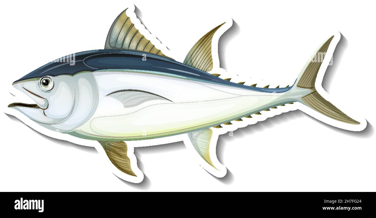 Autocollant de thon rouge de l'Atlantique sur l'illustration de fond blanc Illustration de Vecteur