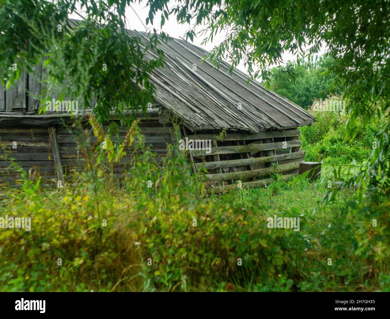 ancien hangar en bois dans le village, en été Banque D'Images