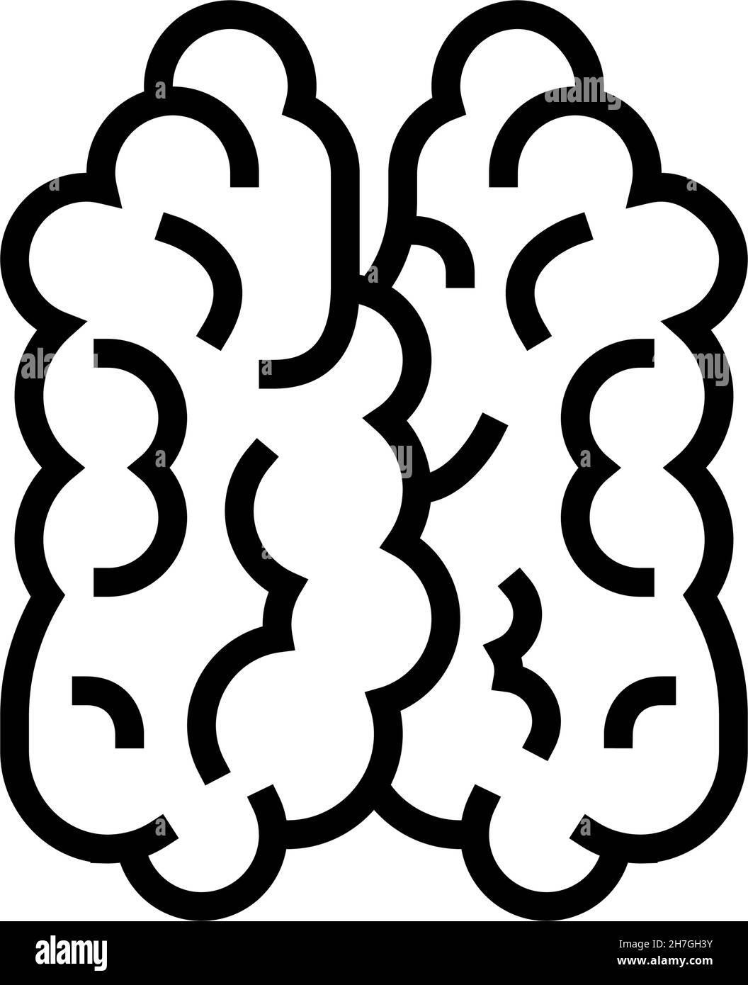 illustration du vecteur d'icône de thymus de la ligne du système immunitaire Illustration de Vecteur