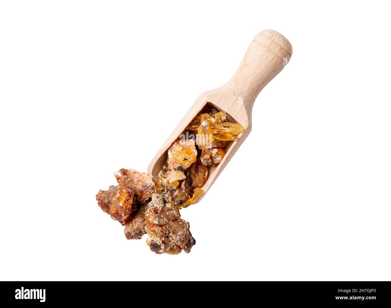 Épinette Picea abies pièces de résine sur une cuillère à bois, isolées sur fond blanc.Utilisation de résine d'épicéa dans le concept de l'industrie de la médecine et de la beauté.Pose à plat Banque D'Images