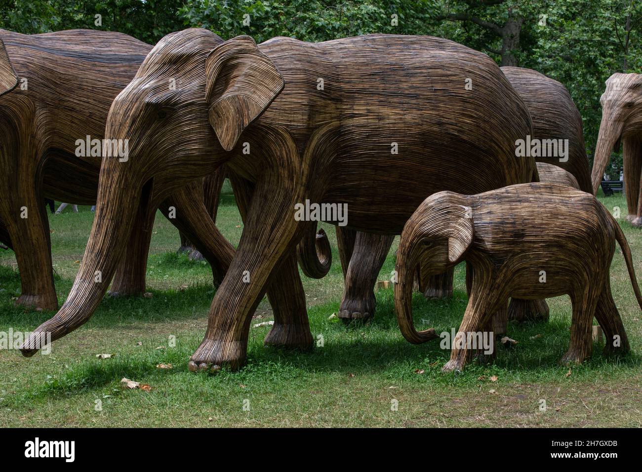 Exposition d'art environnemental de coexistence avec 100 éléphants de lantana grandeur nature à Green Park, amassé plus de 3 millions de livres pour des projets humains-animaux sauvages à Londres. Banque D'Images
