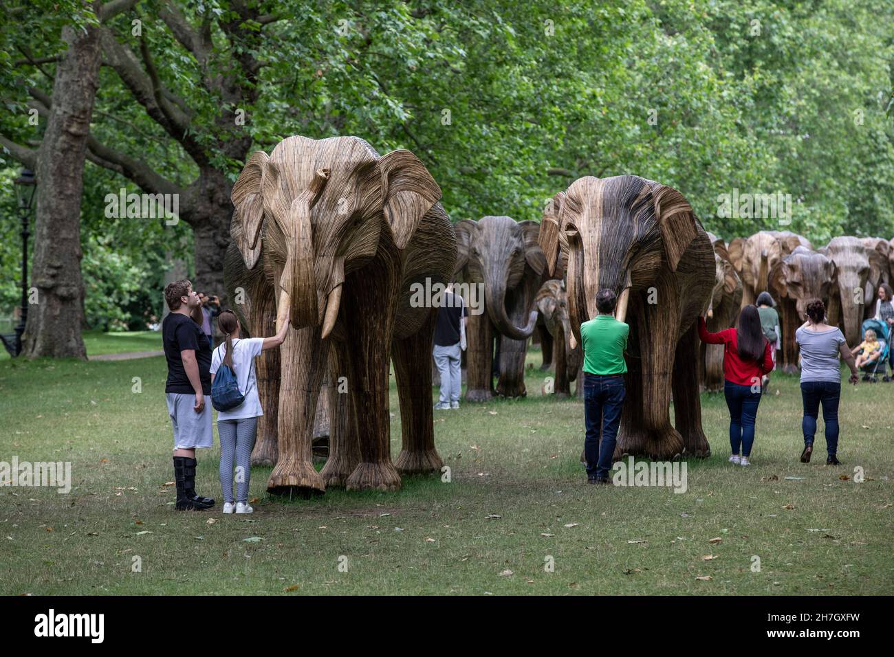 Exposition d'art environnemental de coexistence avec 100 éléphants de lantana grandeur nature à Green Park, amassé plus de 3 millions de livres pour des projets humains-animaux sauvages à Londres. Banque D'Images