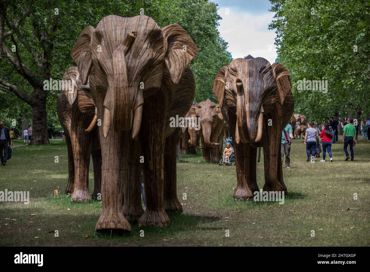 Exposition d'art environnemental de coexistence avec 100 éléphants de lantana grandeur nature à Green Park, amassé plus de 3 millions de livres pour des projets humains-animaux sauvages à Londres. Banque D'Images