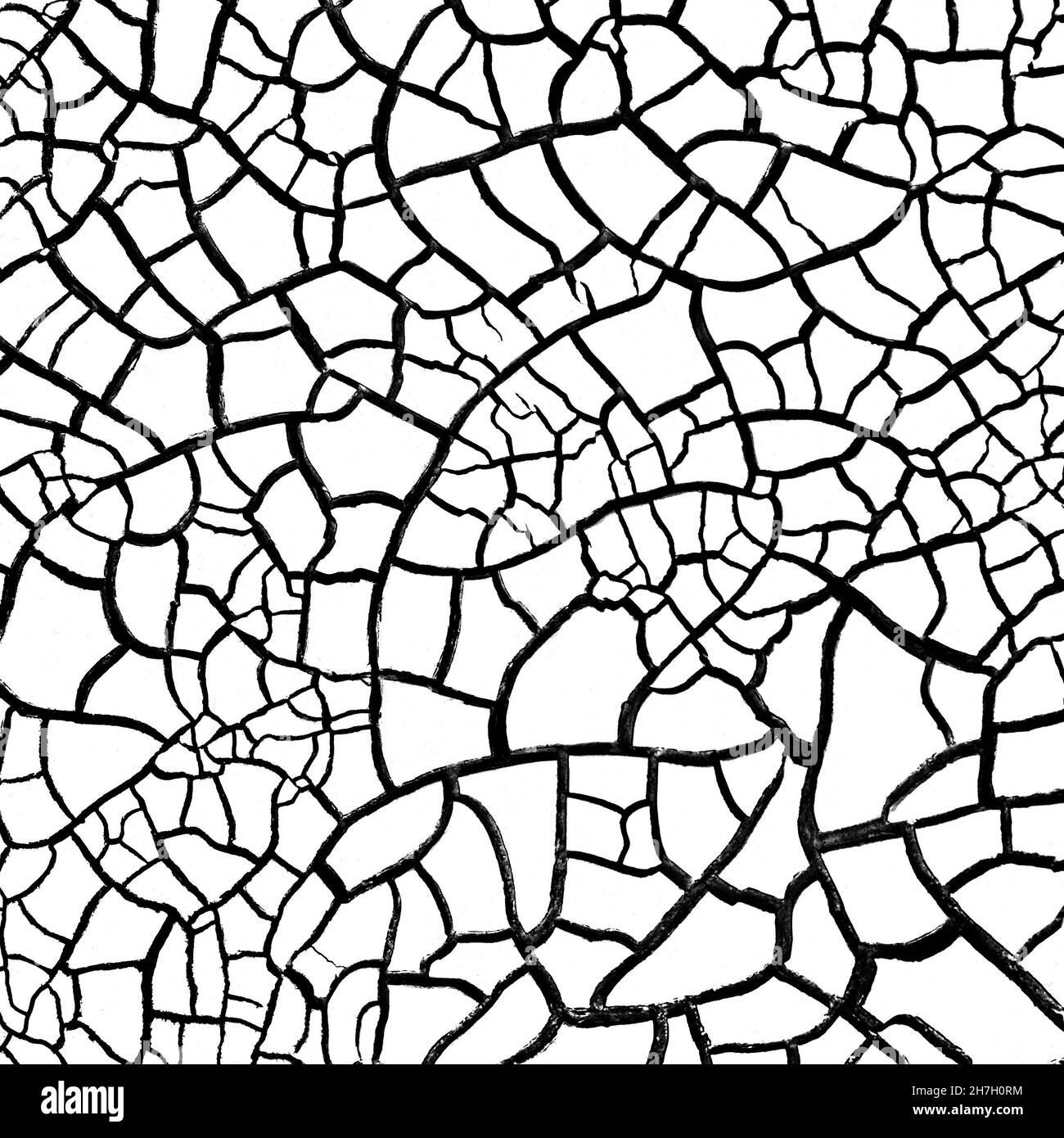 Terre craquée de terre stérile.Revêtement noir et blanc de texture Wasteland Banque D'Images