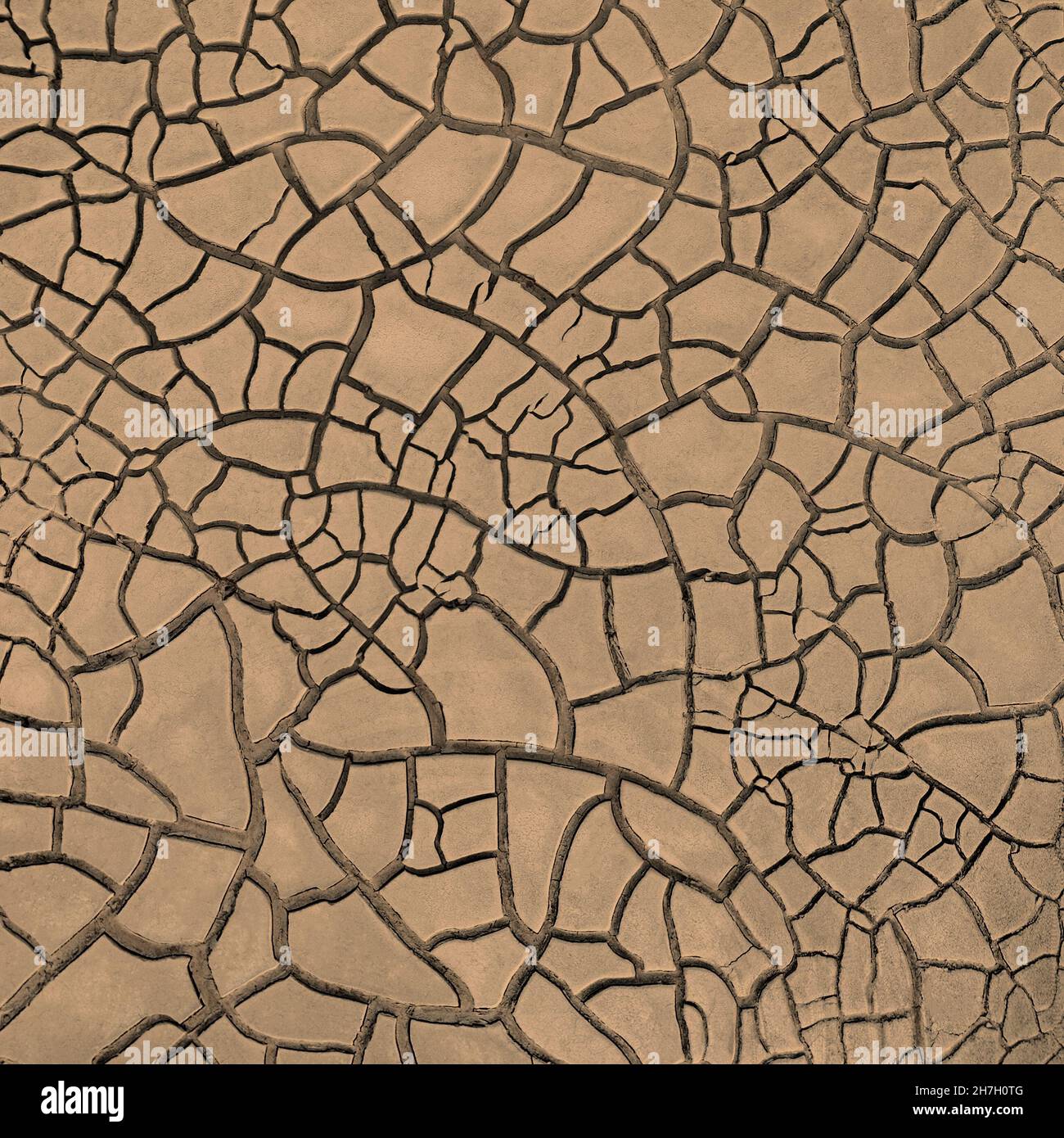 Motif de fissures naturelles, terres sèches avec surface de boue marron fissurée Banque D'Images