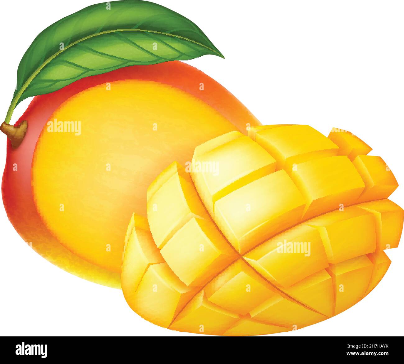 Mangue fraîche et mûre : entières et en tranches isolées sur fond blanc.Illustration vectorielle au réalisme photographique. Illustration de Vecteur