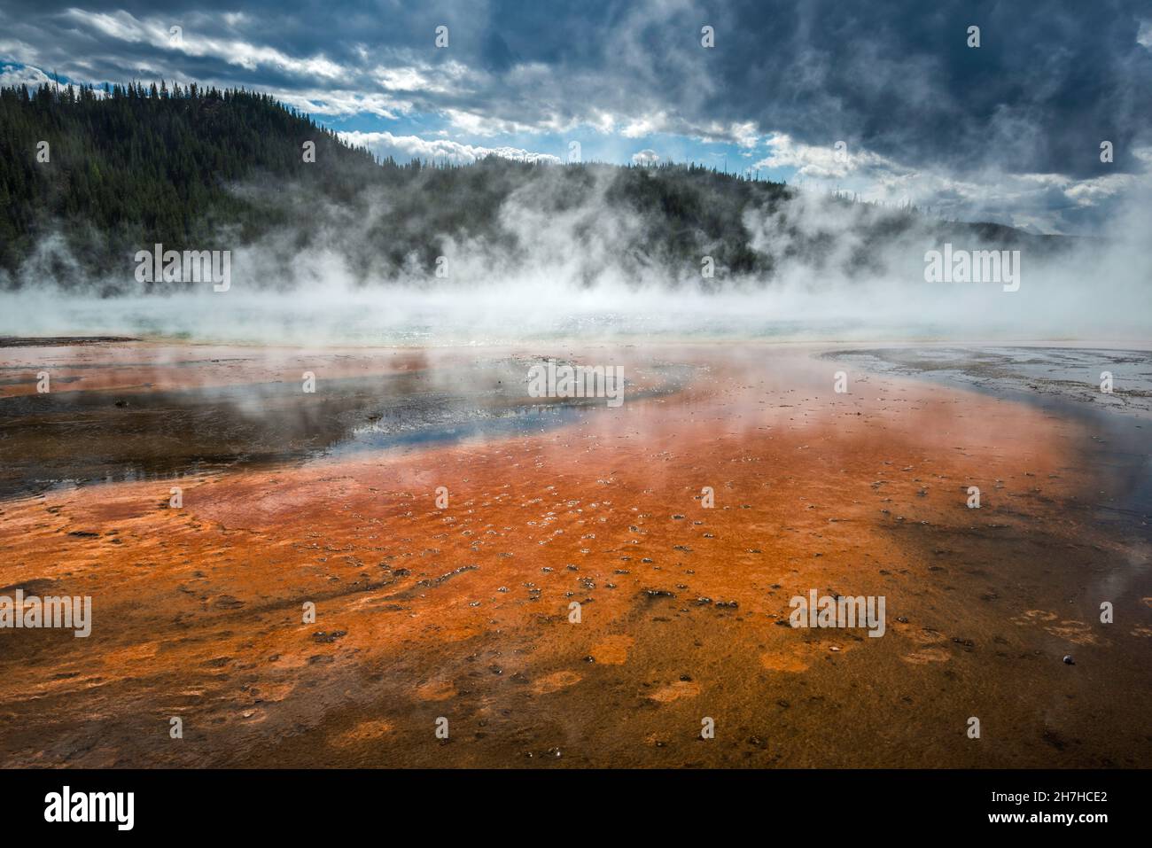 Empreintes de pas marring dépôts minéraux, vapeur s'élevant de Grand Prismatic Spring, Midway Geyser Basin, parc national de Yellowstone, Wyoming, Etats-Unis Banque D'Images