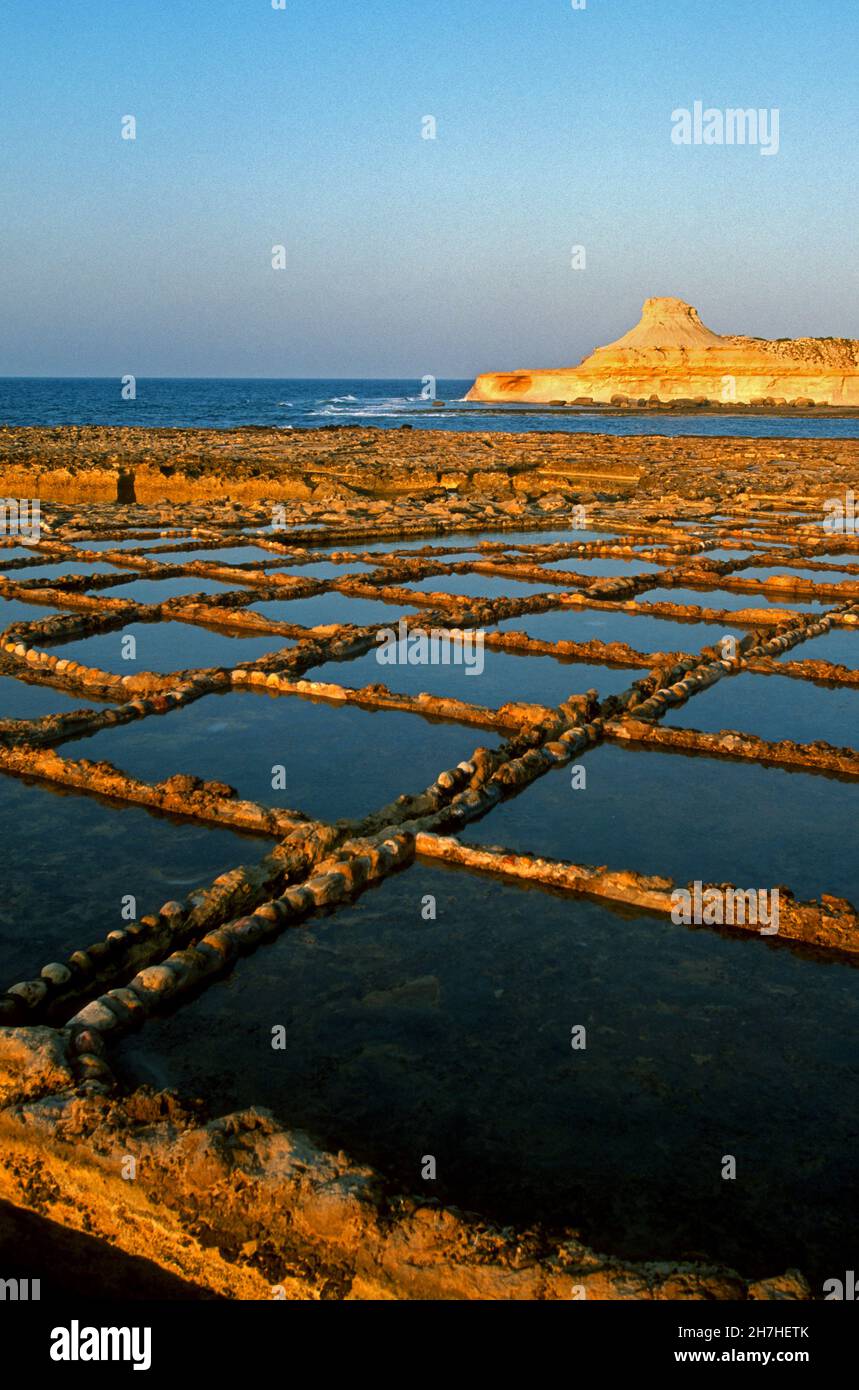 MALTE, ÎLE GOZO, SALINES Banque D'Images