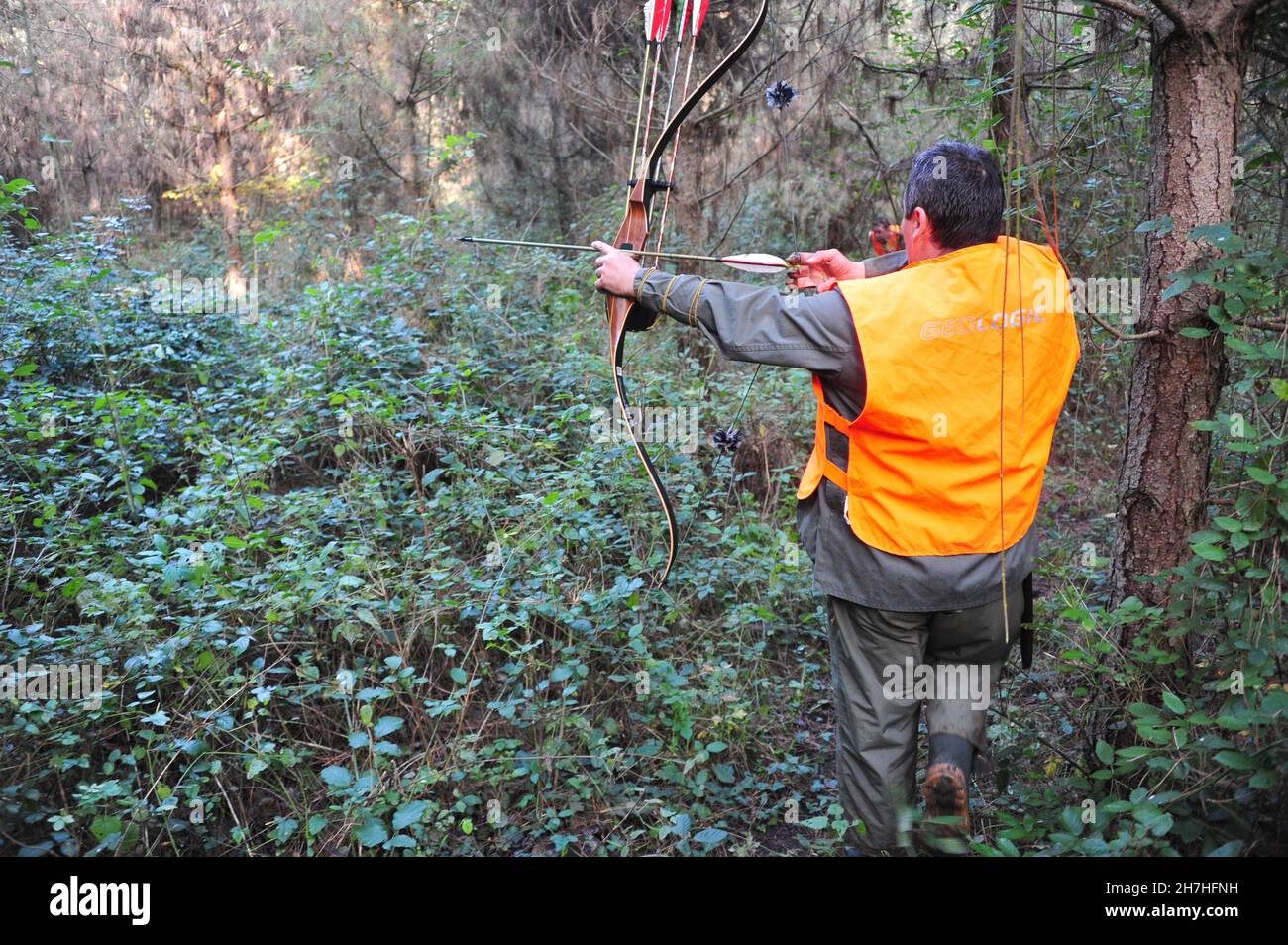 FRANCE.SOLOGNE.BOWHUNTER DANS UNE FORÊT. Banque D'Images