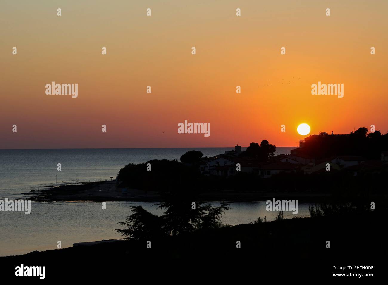 Vue panoramique sur le coucher du soleil à Novigrad, Istrie, Croatie, Europe. Banque D'Images