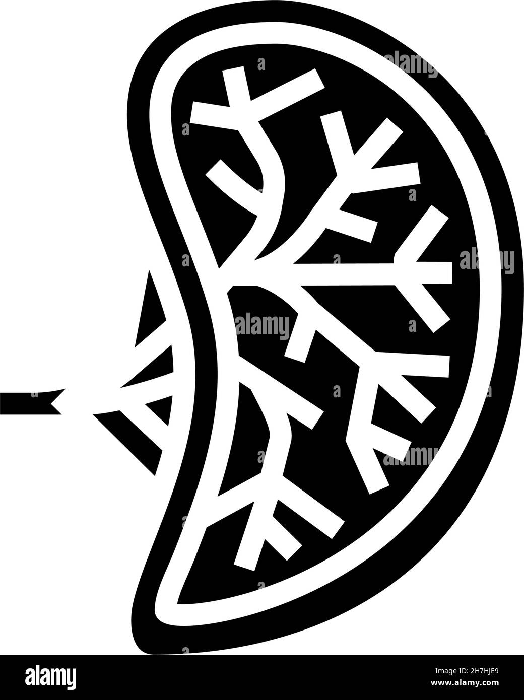illustration d'un vecteur d'icône de glyphe d'organe humain de la rate Illustration de Vecteur