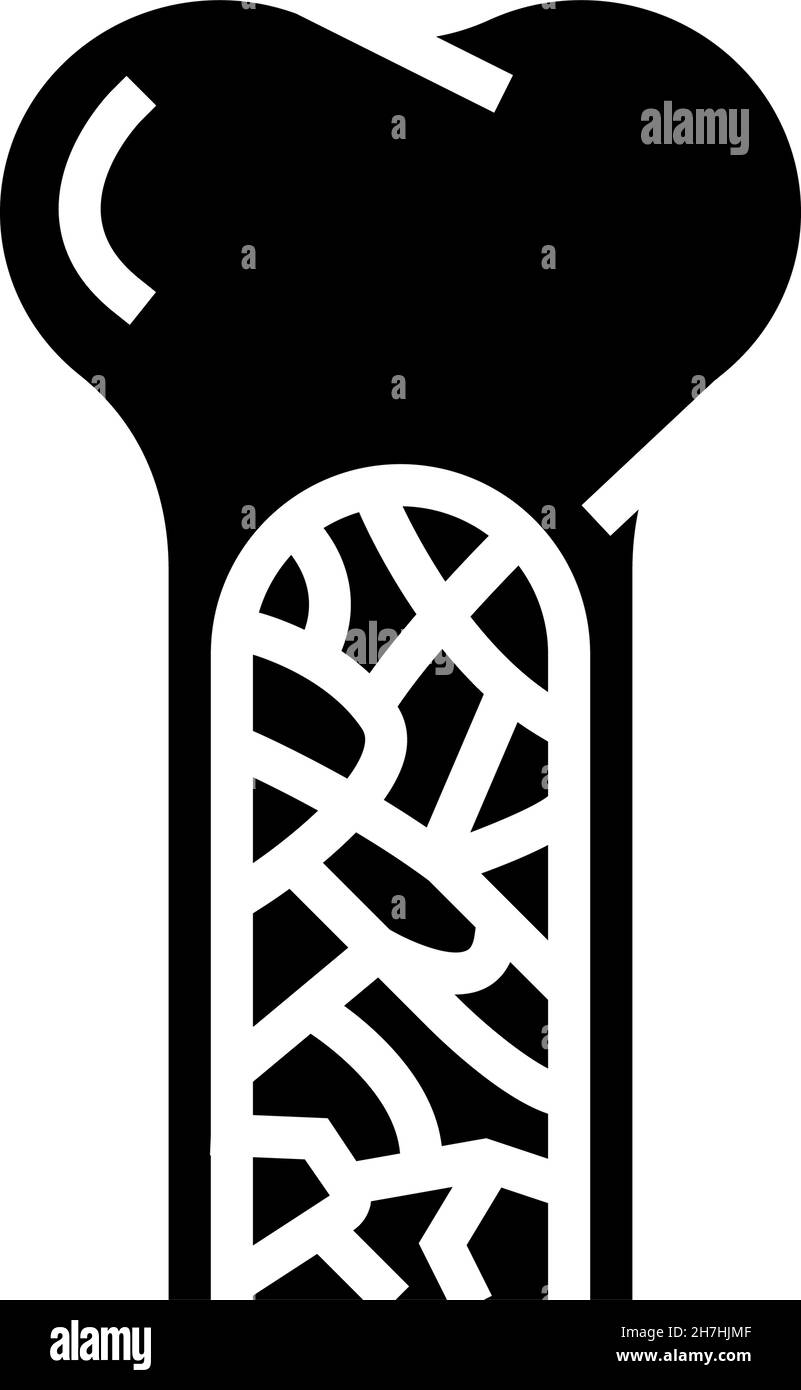 illustration du vecteur d'icône de glyphe de moelle osseuse Illustration de Vecteur