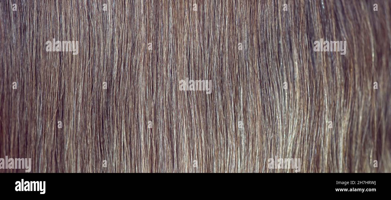 Gros plan sur les cheveux blonds foncés pour l'arrière-plan. Banque D'Images