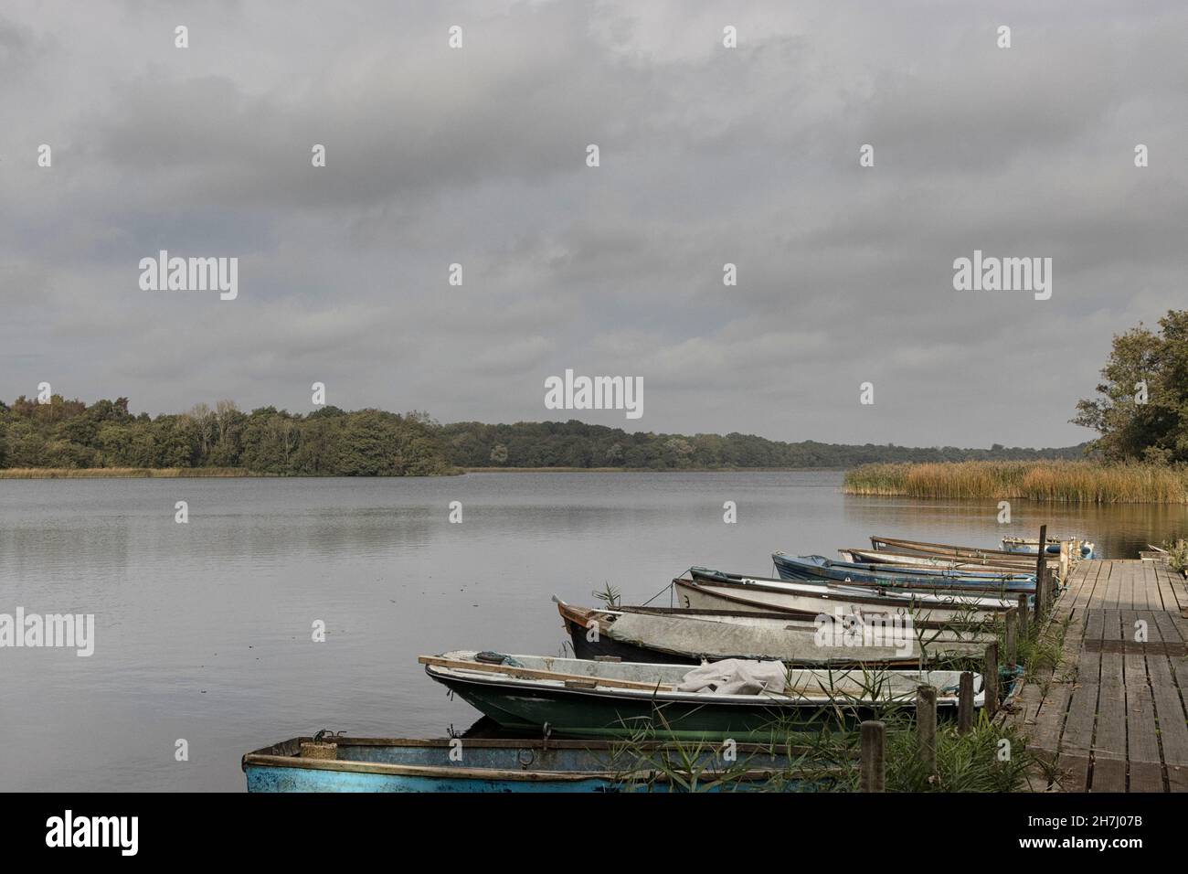 Des dinghies amarrées sur le bord d'Ormesby un peu large, en hiver sur les Norfolk Broads. Banque D'Images