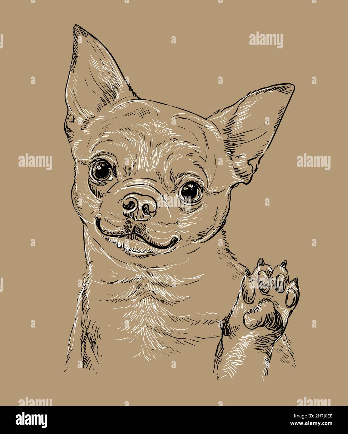 Illustration réaliste chihuahua chien vecteur main dessin isolée sur fond marron.Pour la décoration, les pages de livres à colorier, le design, l'impression, les affiches,po Illustration de Vecteur