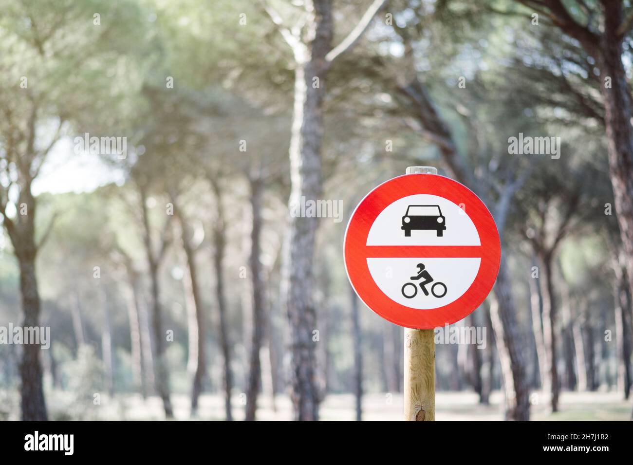 L'entrée de véhicules automobiles est interdite.Panneau de signalisation.Concept d'écologisme Banque D'Images