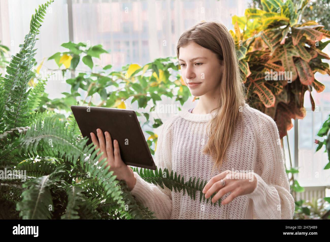 adolescente fille debout entre de grandes plantes vertes et regardant la tablette pc. maison jungle concept. jeune fille à la recherche de bouts de jardinage Banque D'Images