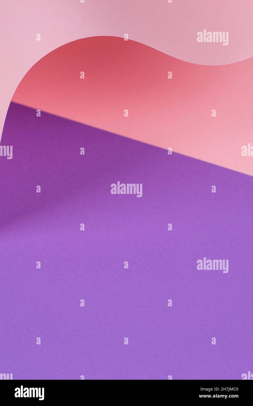 Vague abstraite de papier rose pastel et violet.Papier courbe géométrique créatif avec lumière et ombres.Arrière-plan de géométrie abstraite avec espace de copie Banque D'Images